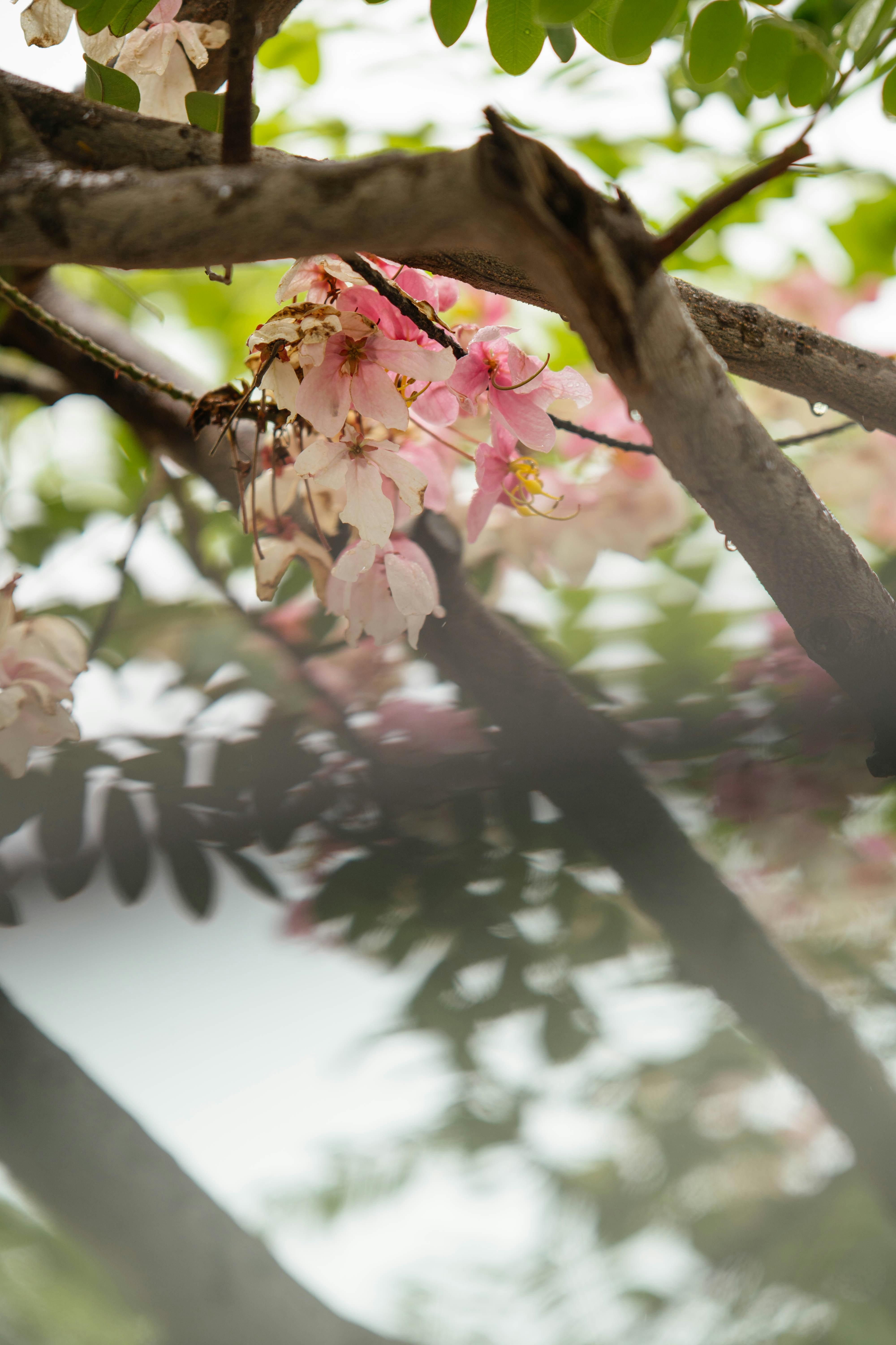 Photo by hasnainayaz_com