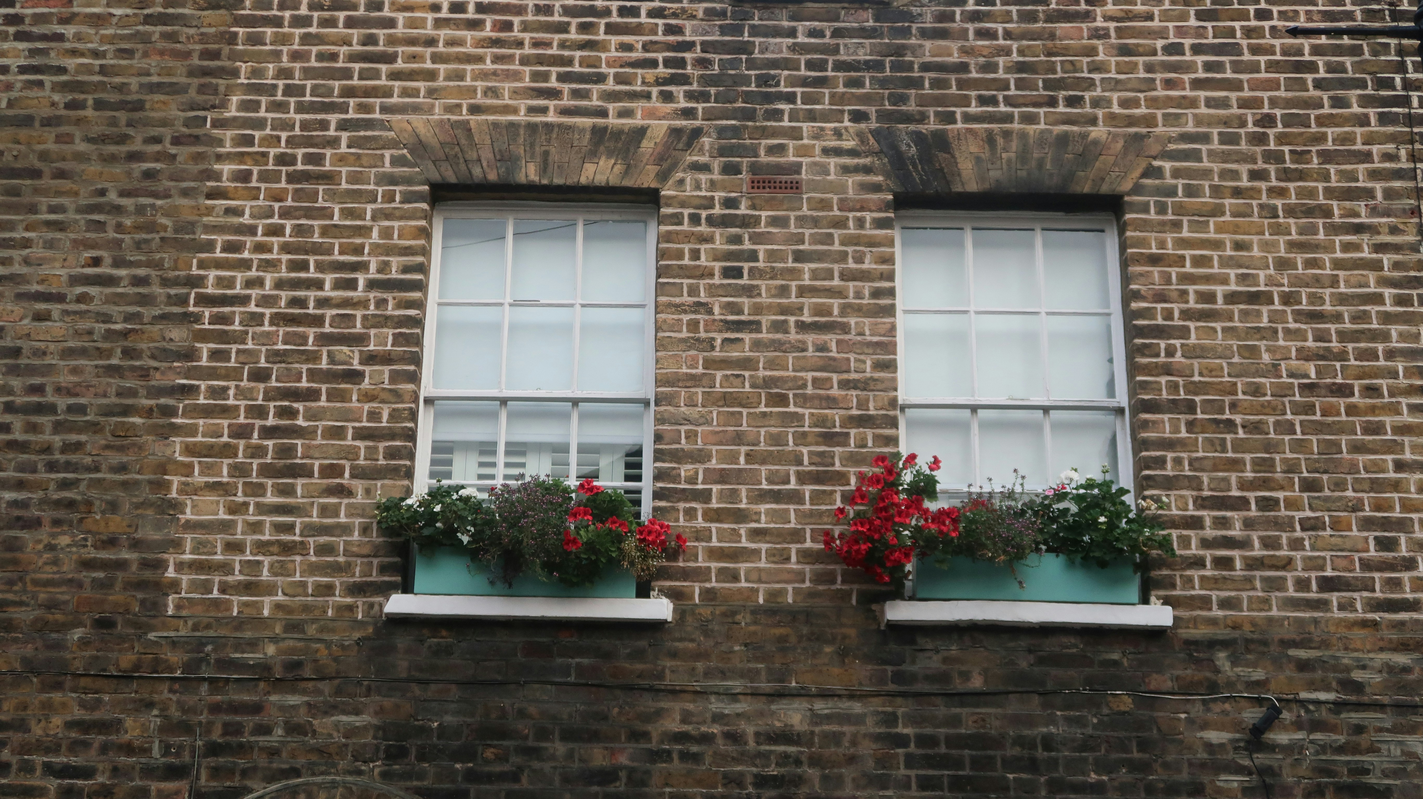 Photo by tanyabarrow