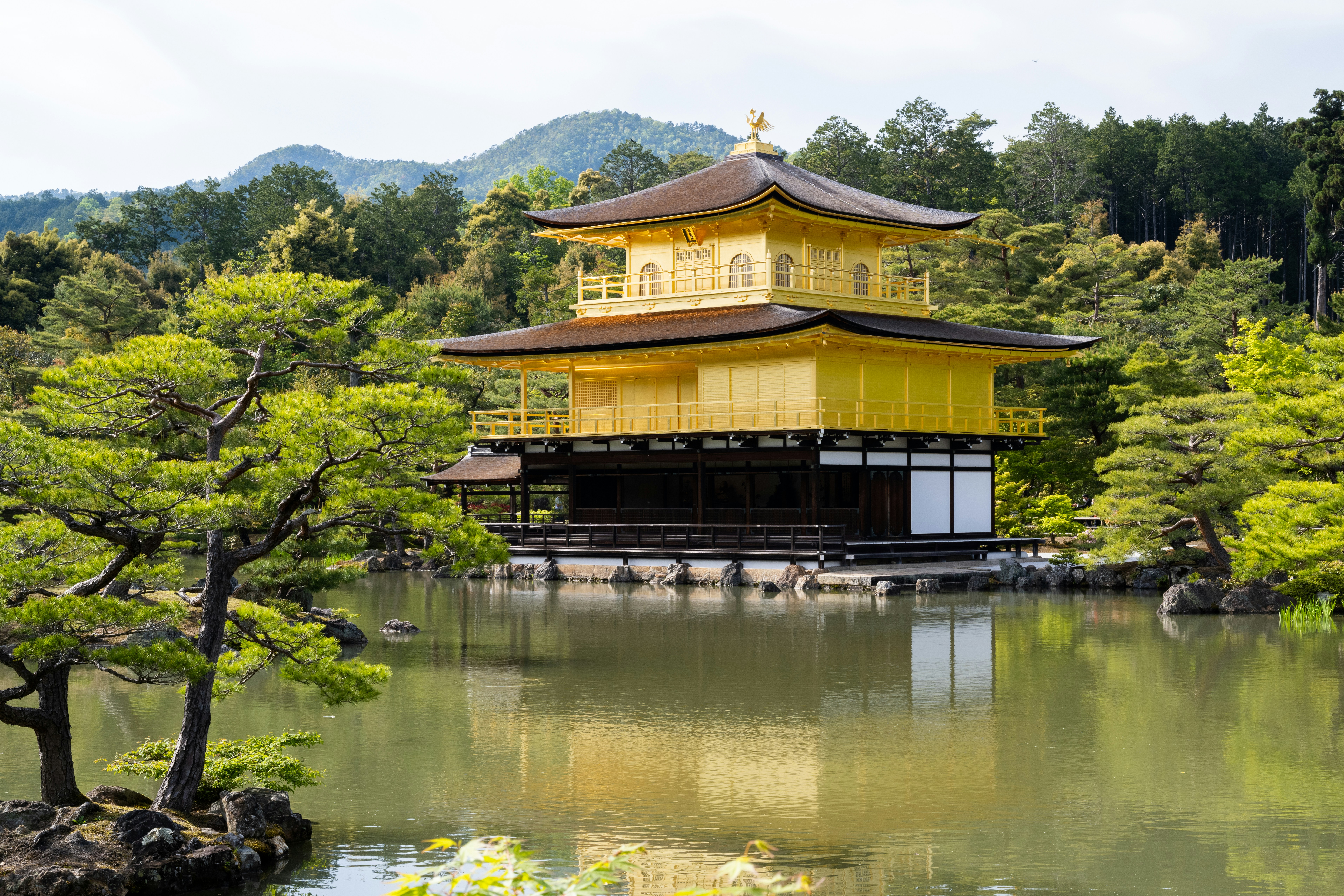 Photo by krzysztof_h