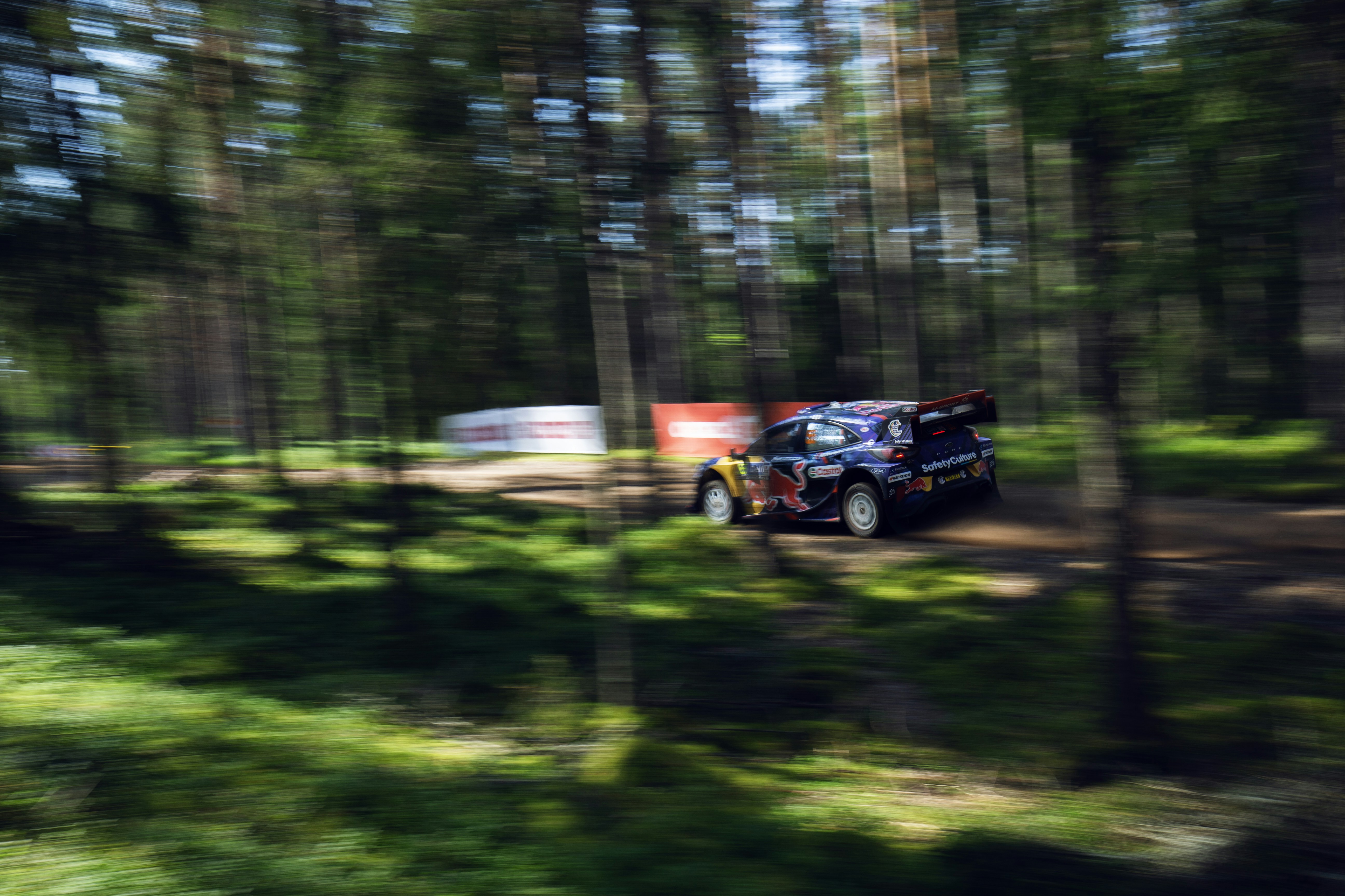 A rally car speeds through the forest.