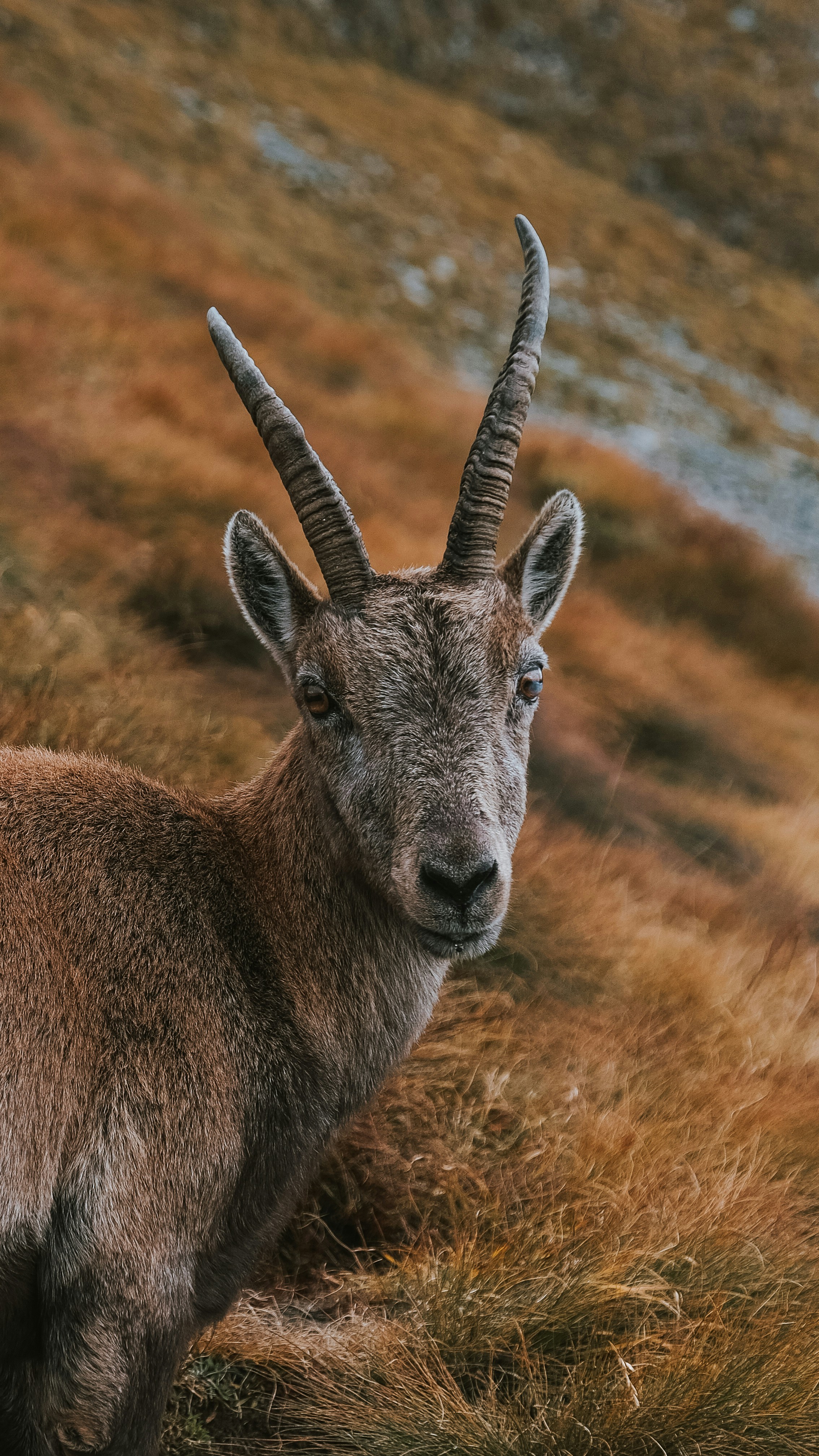 Photo by paolomilesi