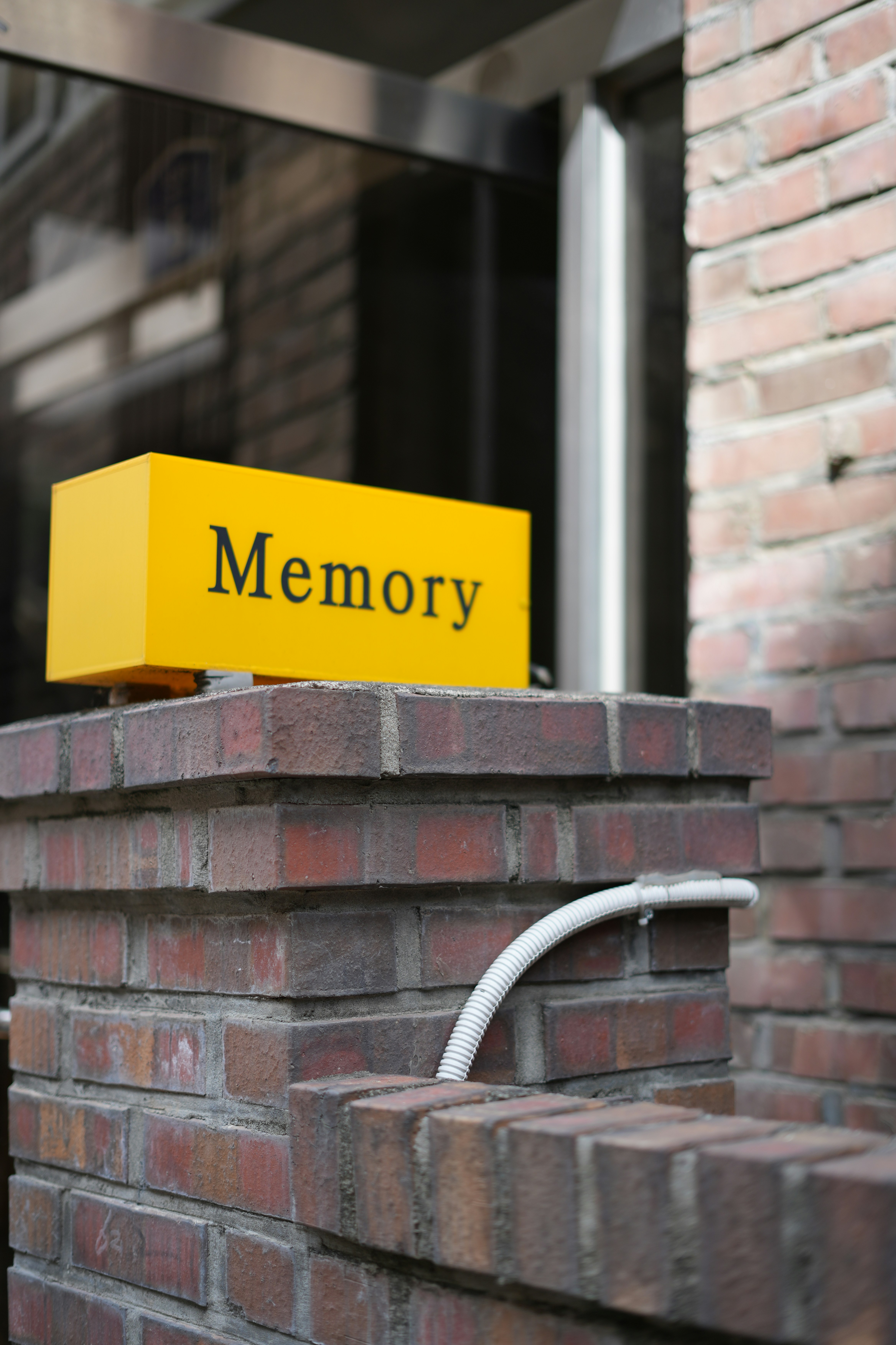 Is It Just Age? - by Linda Raddon - Linda’s Substack