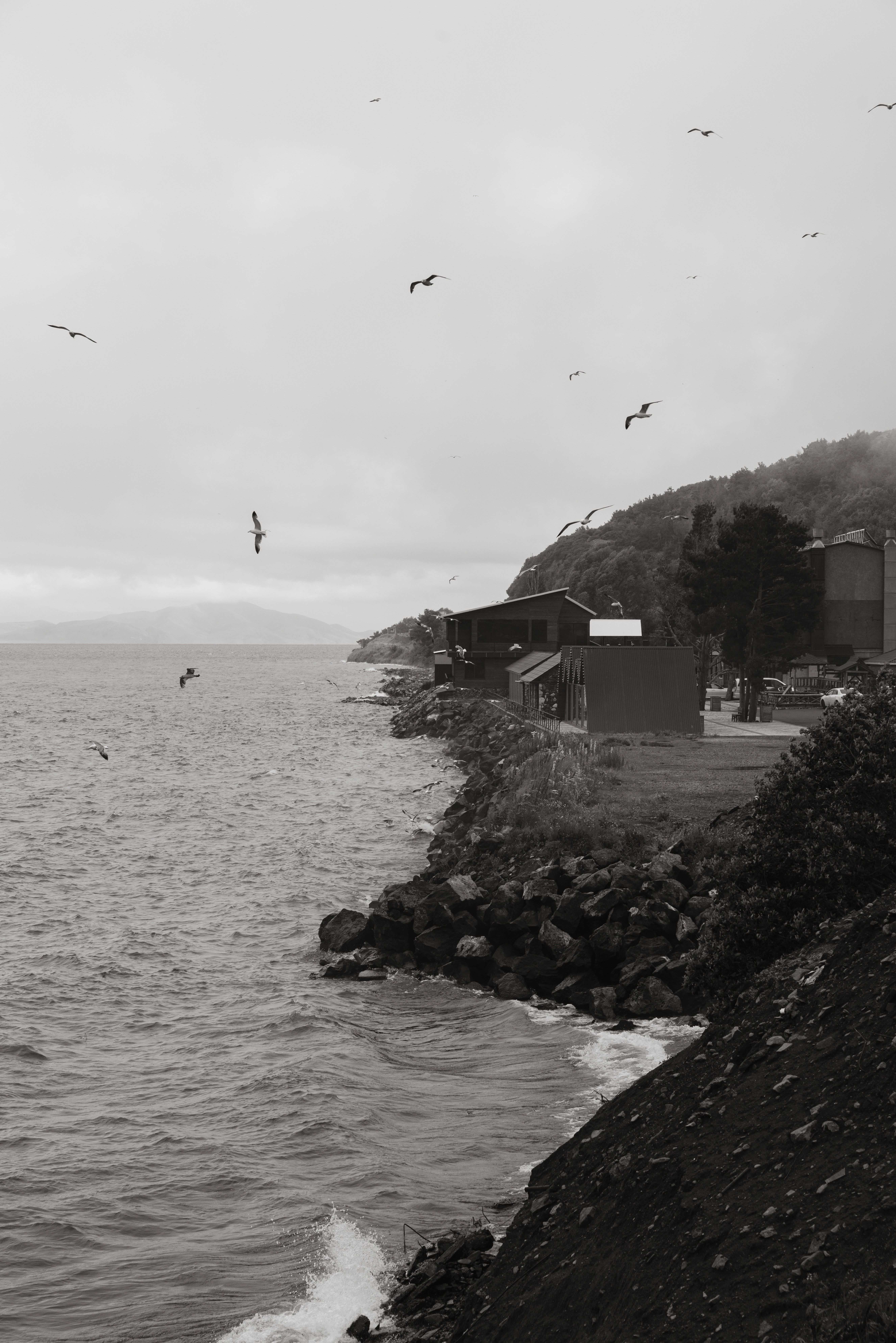 Seagulls fly over a rocky shore by a misty sea.