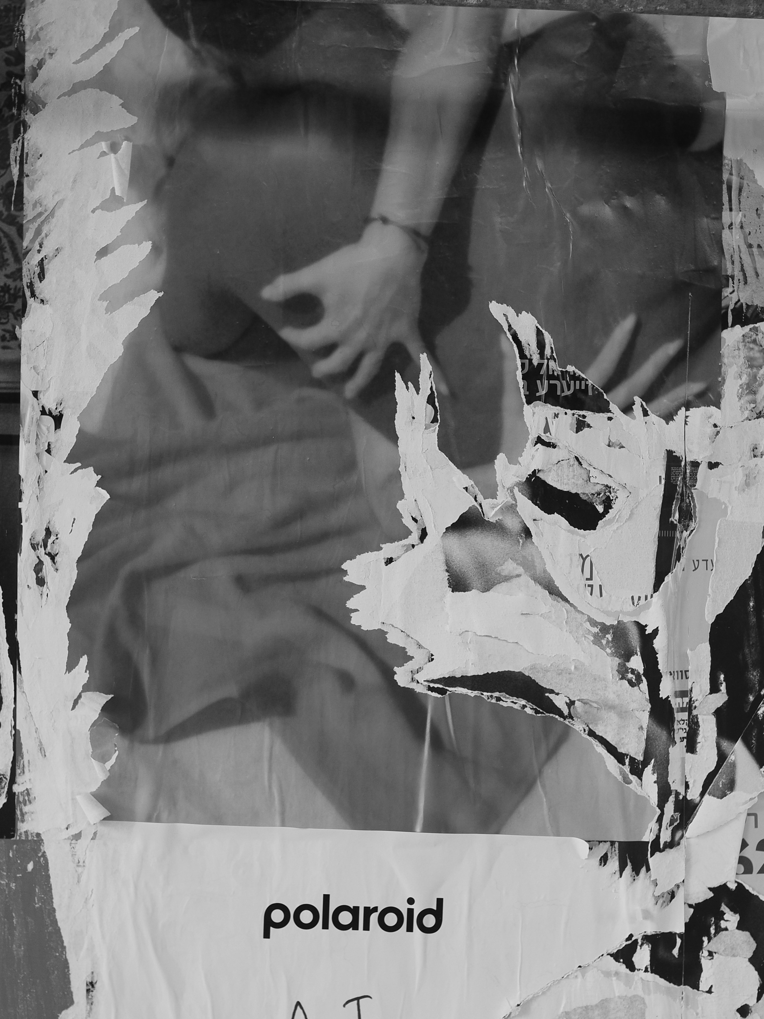 Photo by gregschmigel