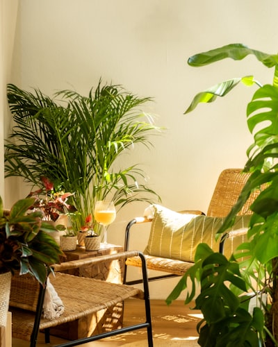 Plantas