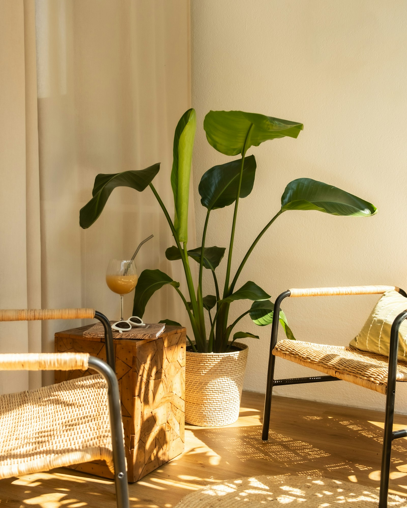 Ambiente acolhedor com plantas e luz natural