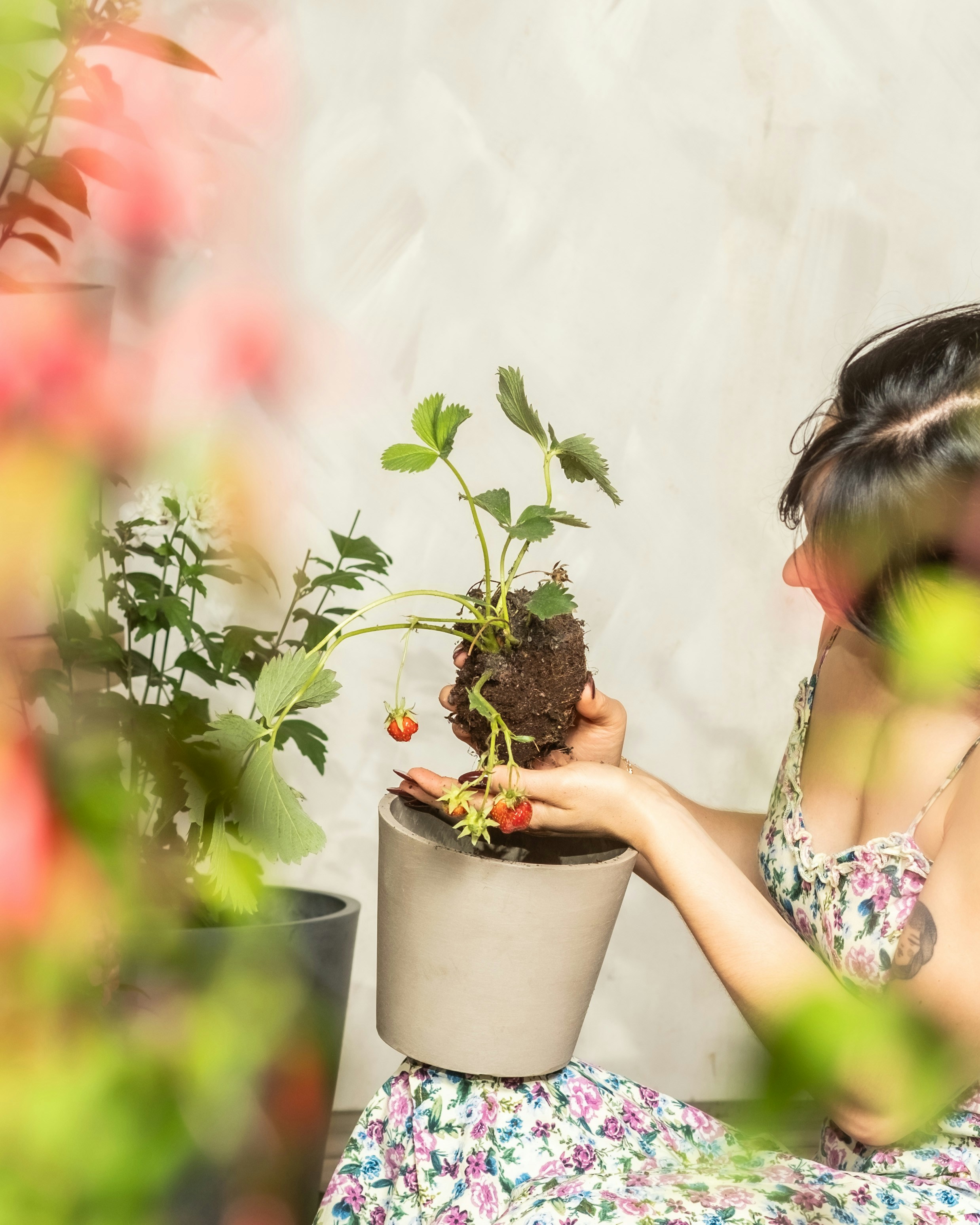 Photo by feeypflanzen