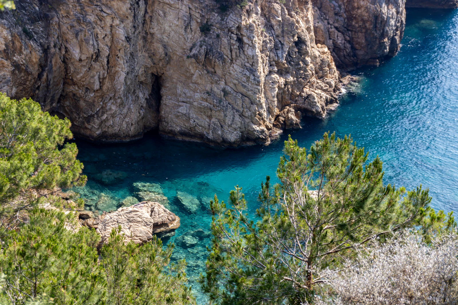 D Maris Bay