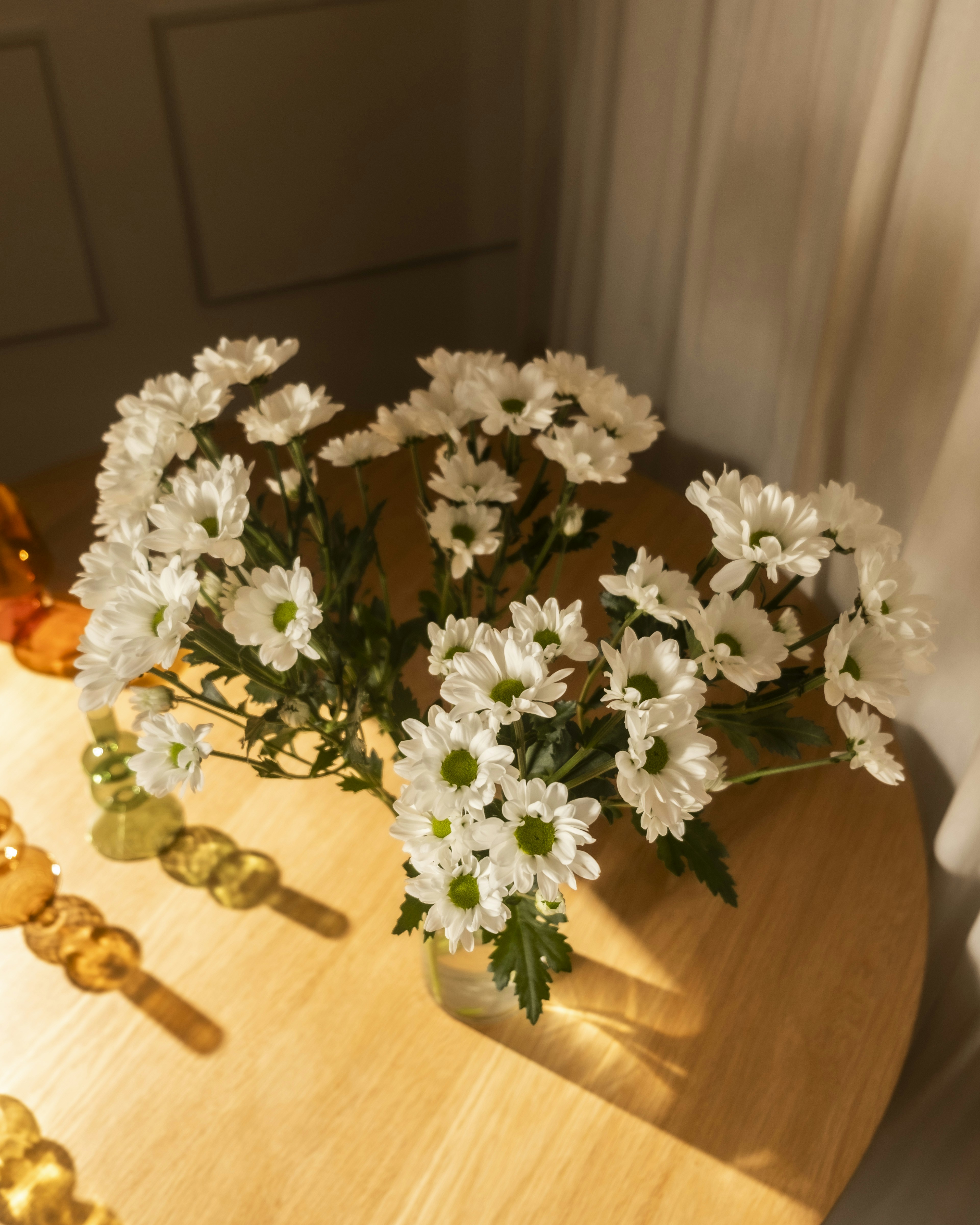 Photo by feeypflanzen