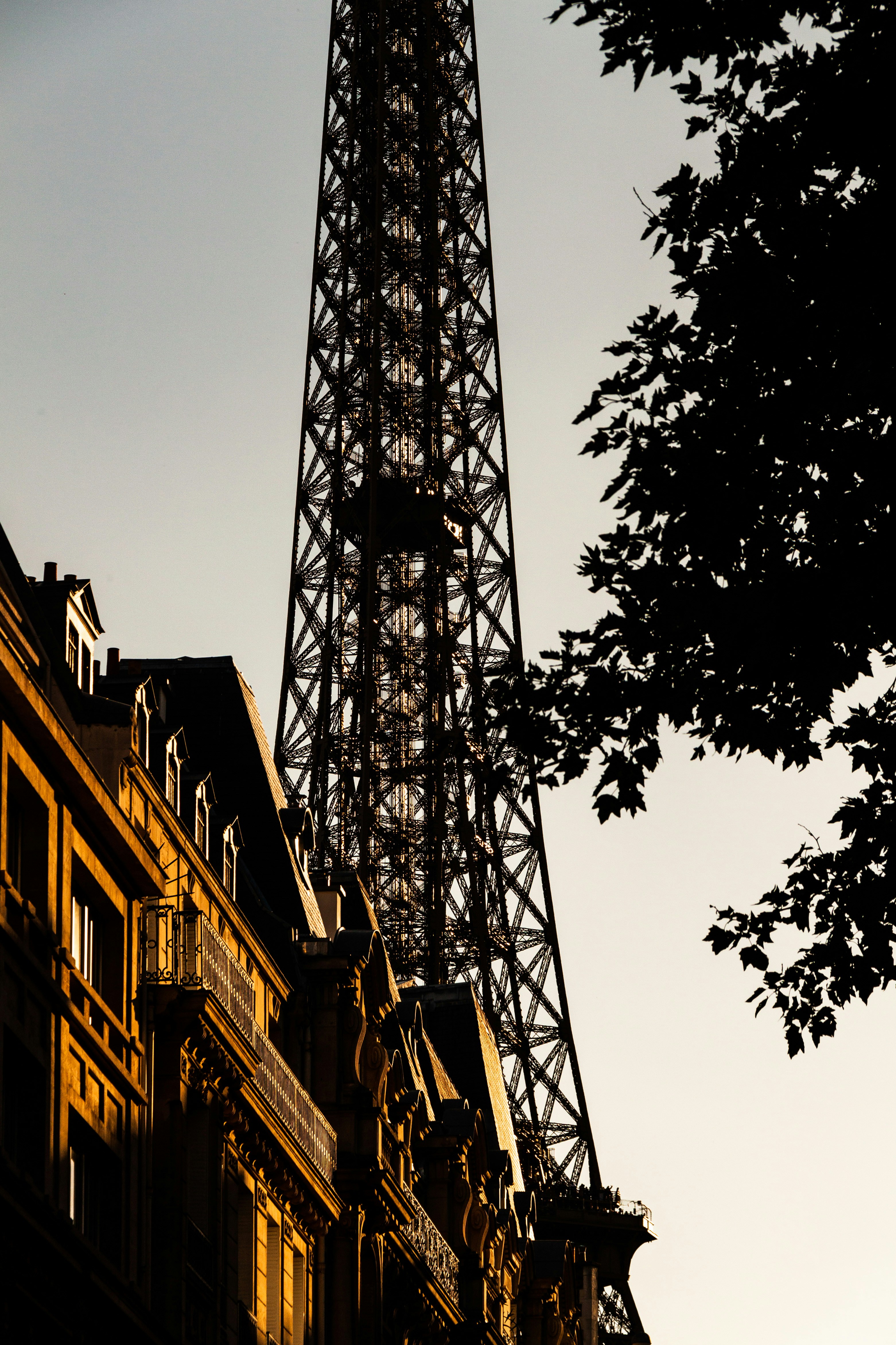 Eiffel tower rises behind buildings in paris.