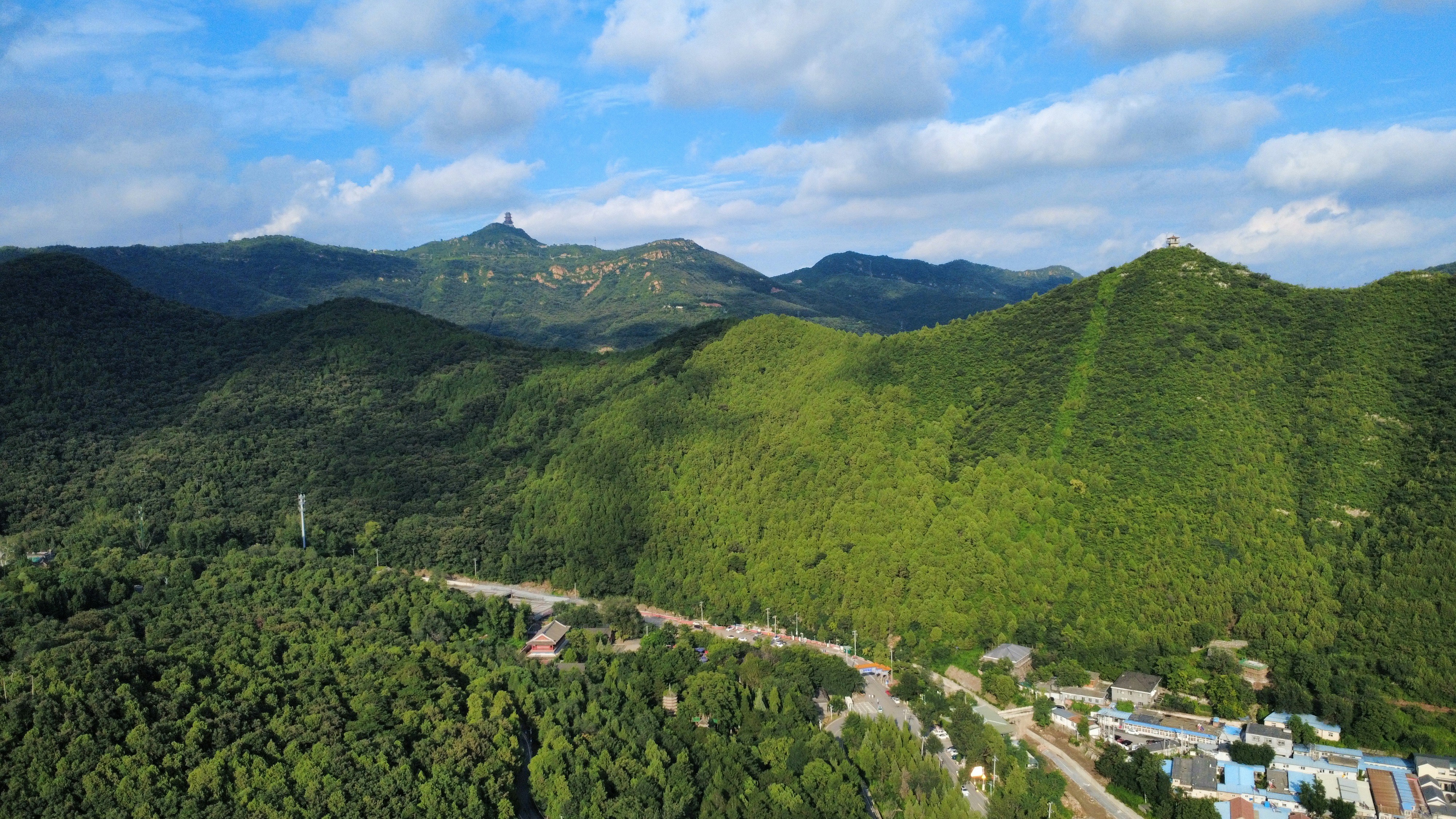 Photo by jack_dragon_gallery