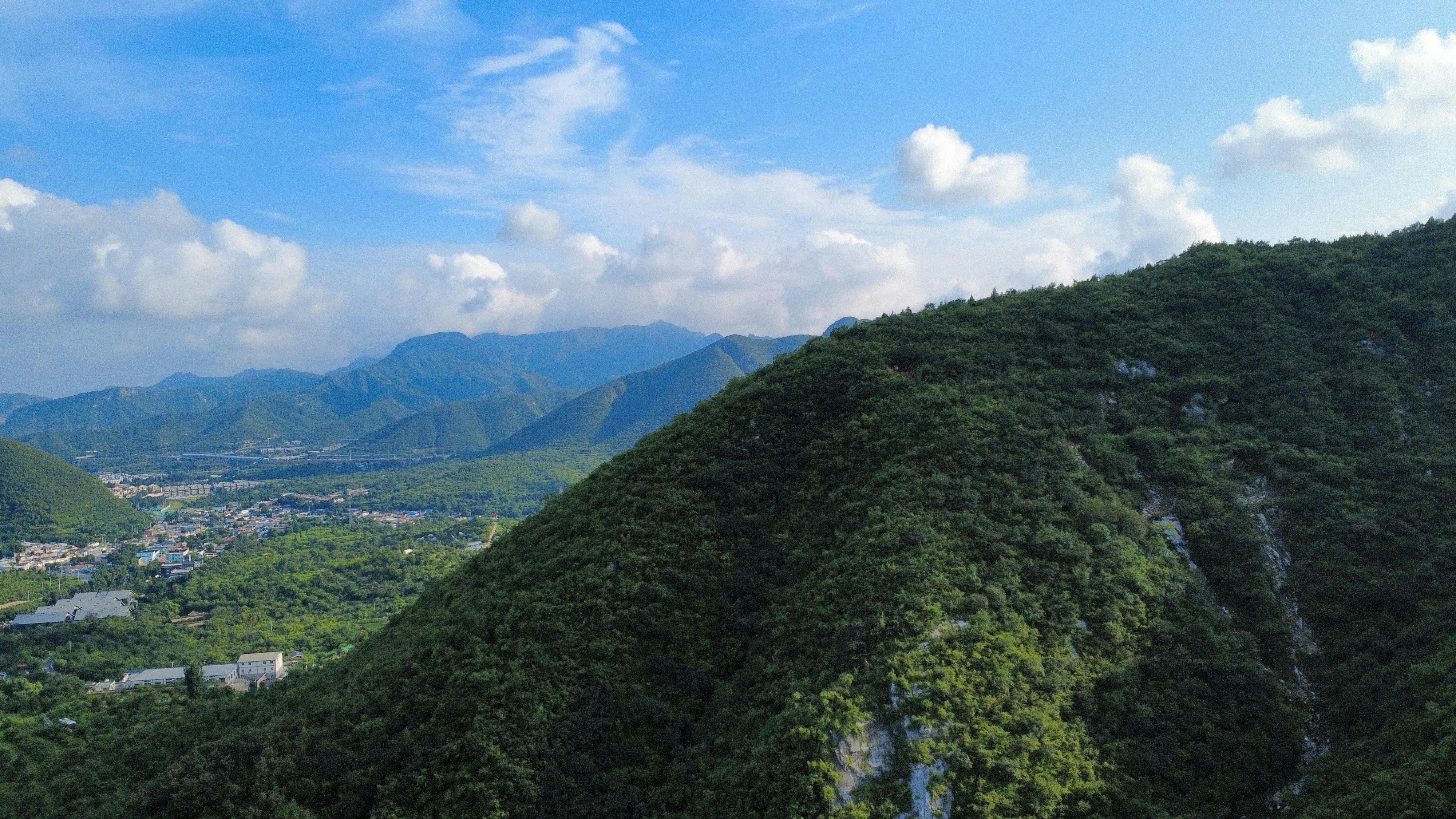 Photo by jack_dragon_gallery