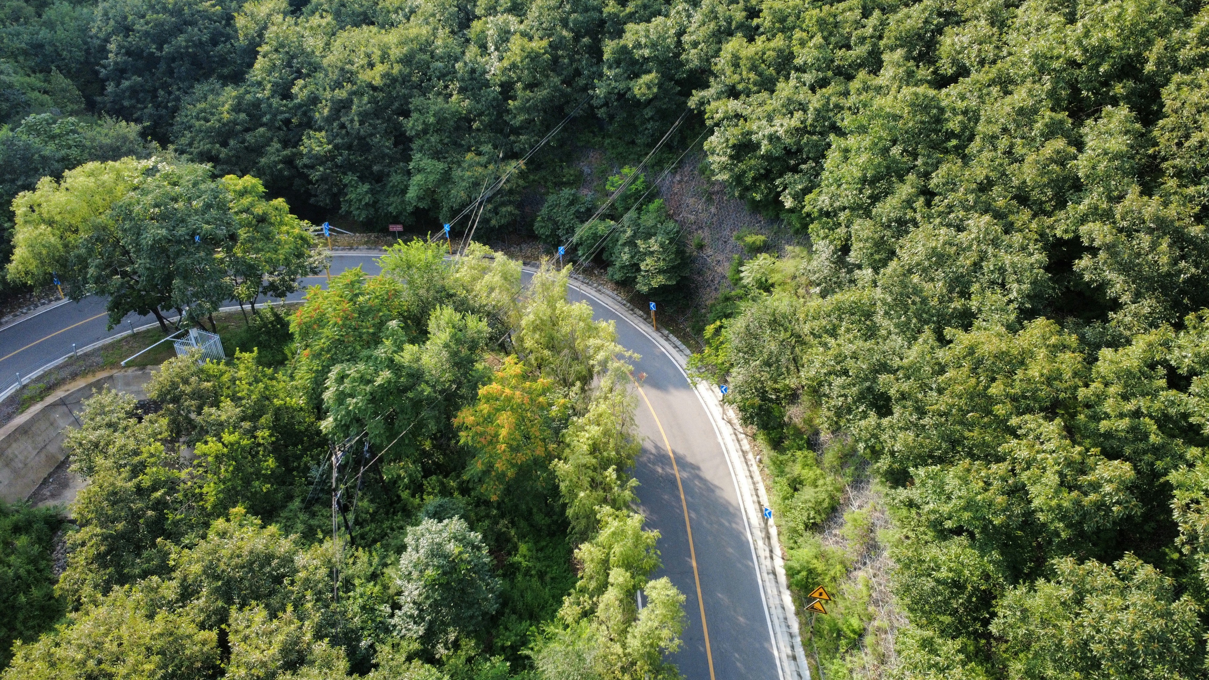 Photo by jack_dragon_gallery