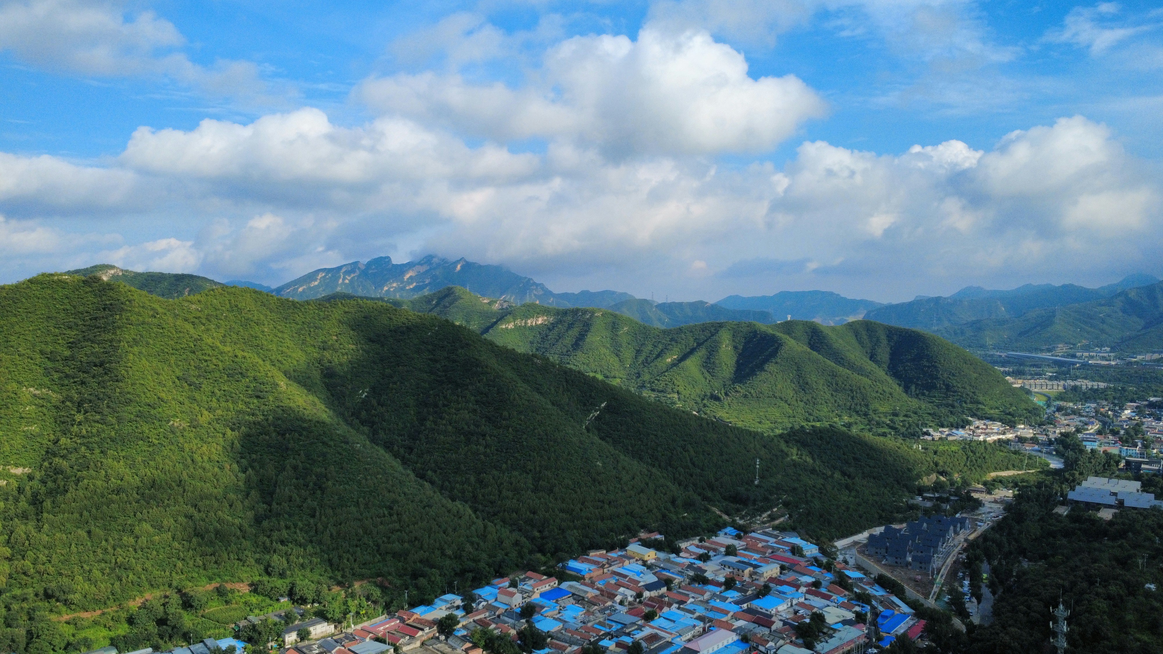 Photo by jack_dragon_gallery