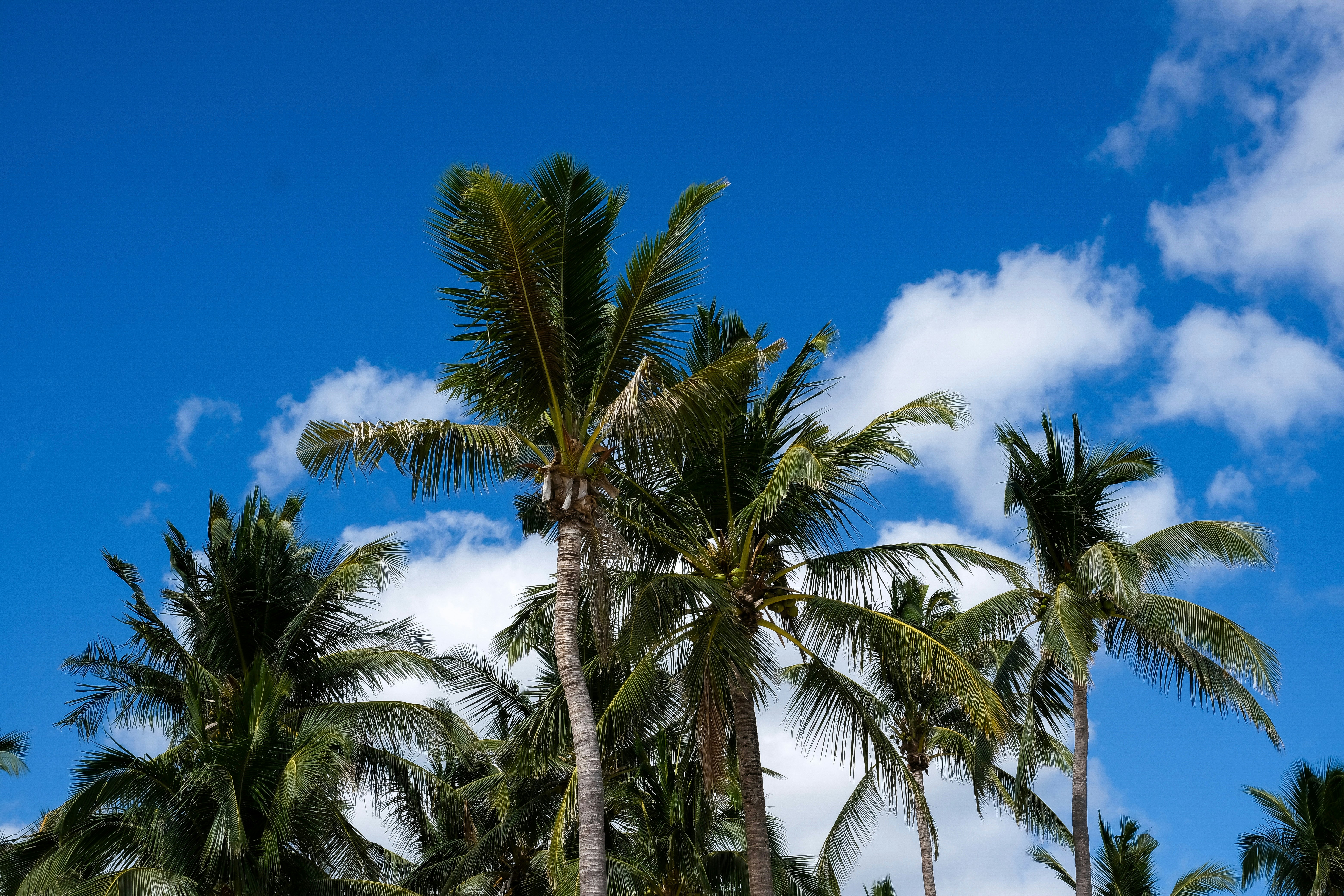 Photo by paolomilesi