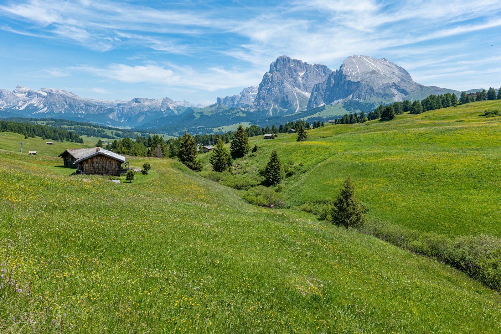 Alpska pokrajina z zelenim travnikom
