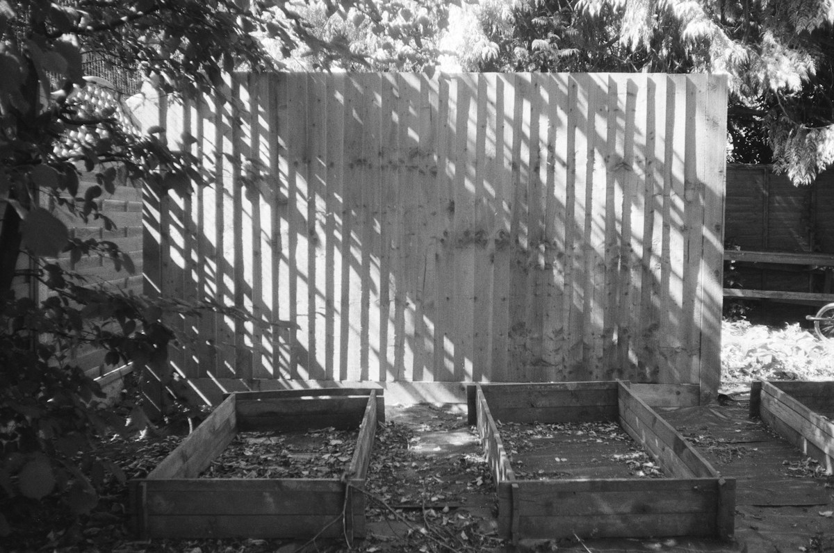 Raised garden beds in a community garden with shadows cast across them.