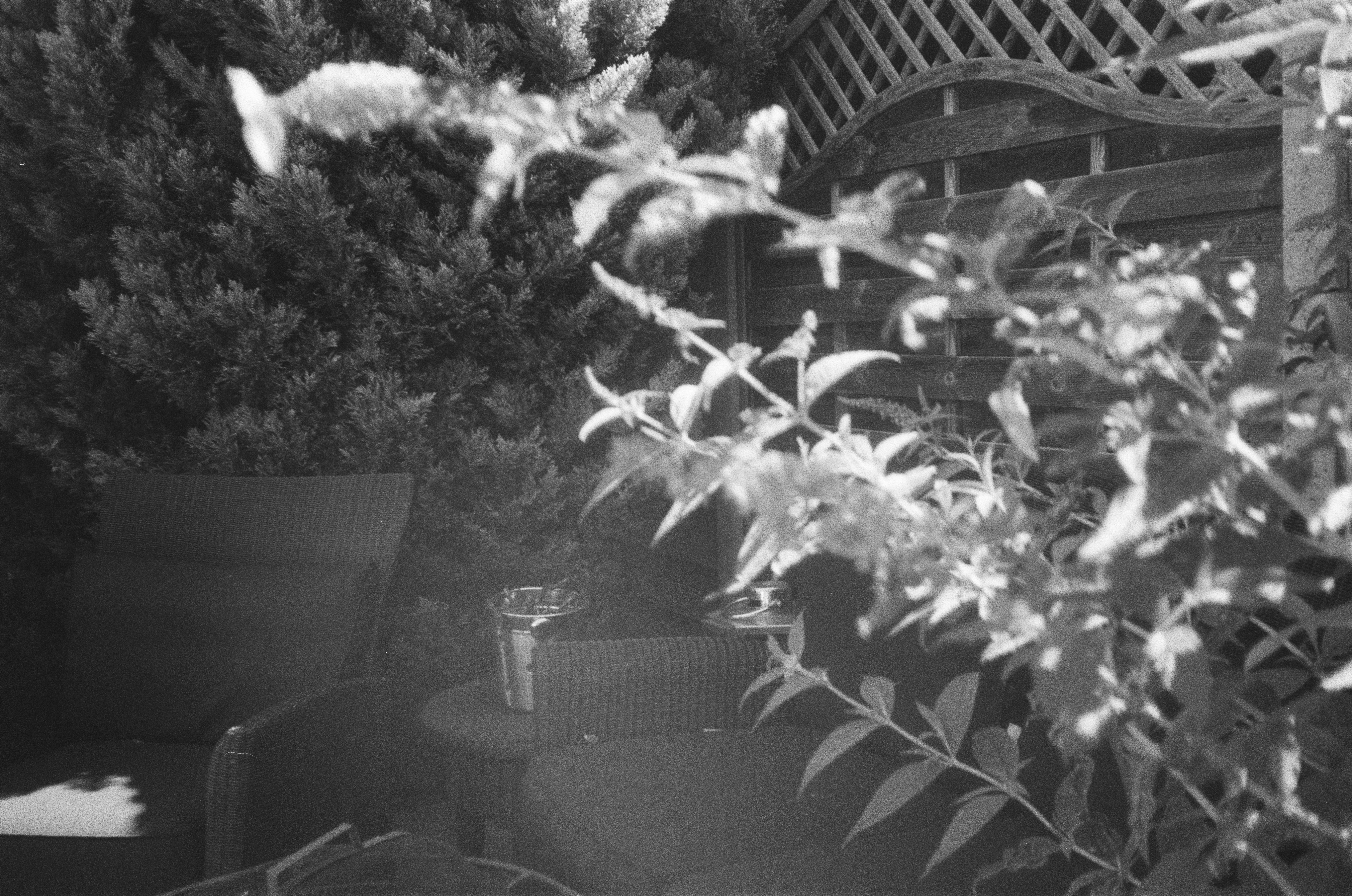 Photo by tanyabarrow