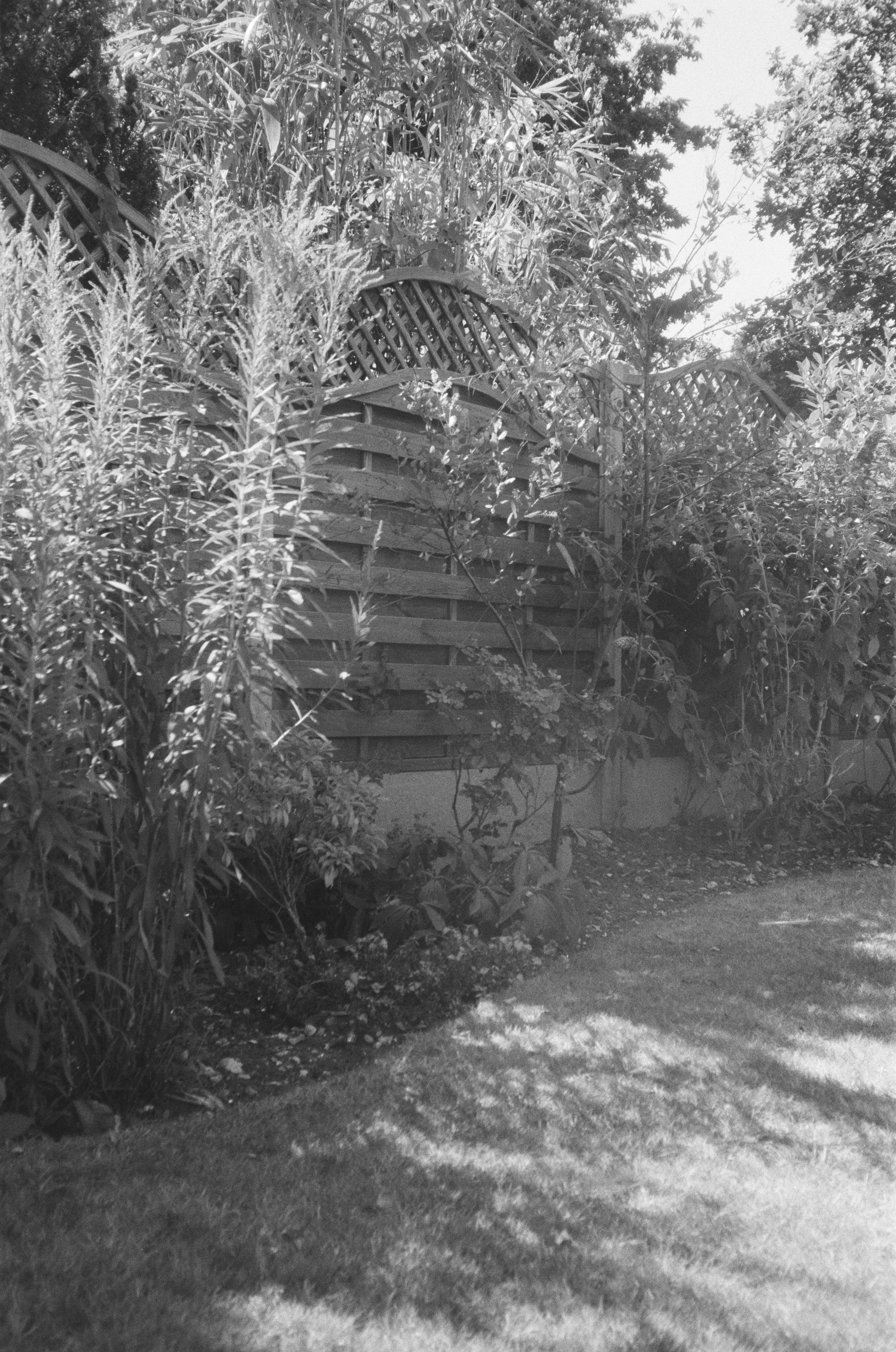 Photo by tanyabarrow