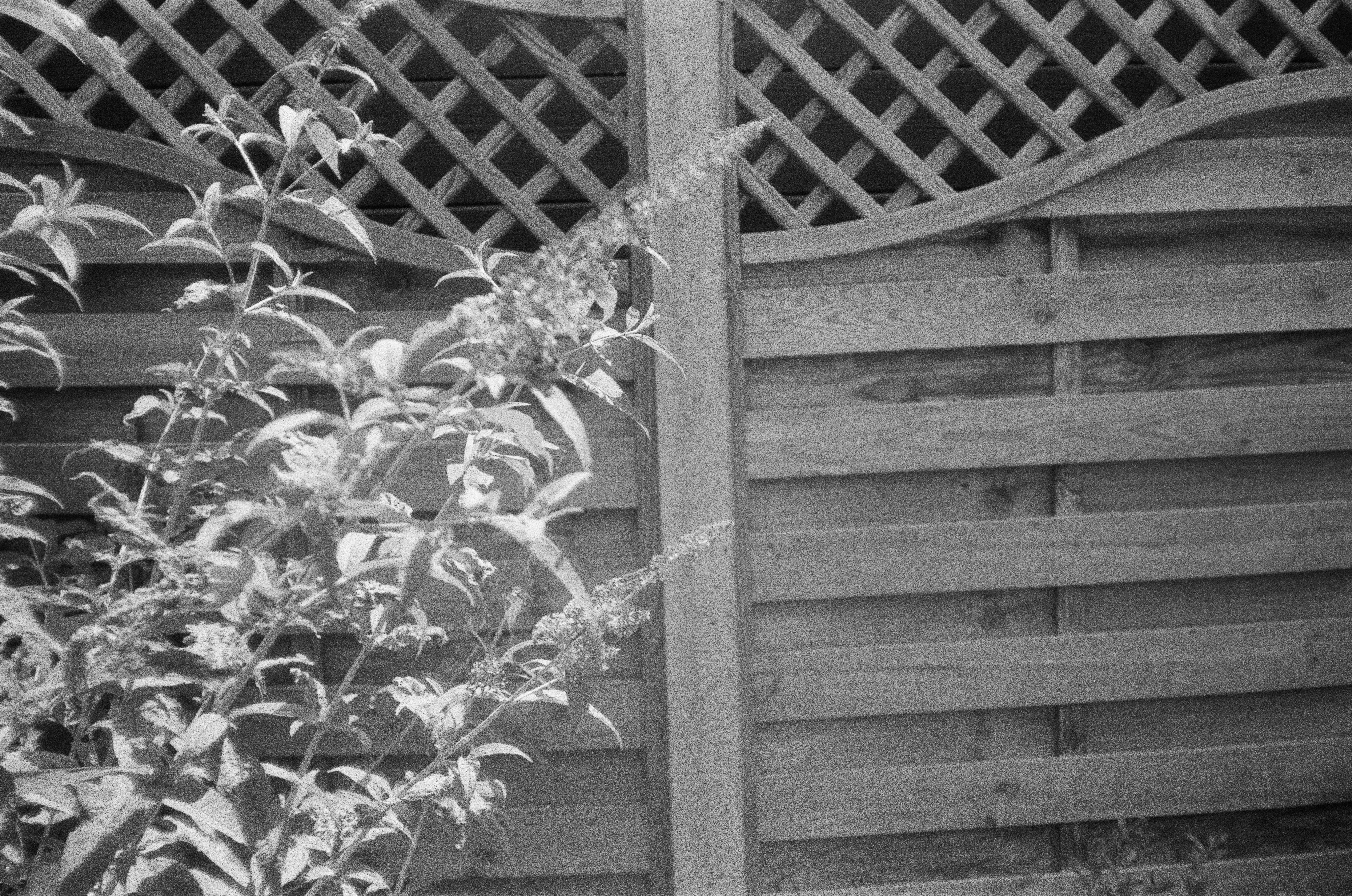 Photo by tanyabarrow