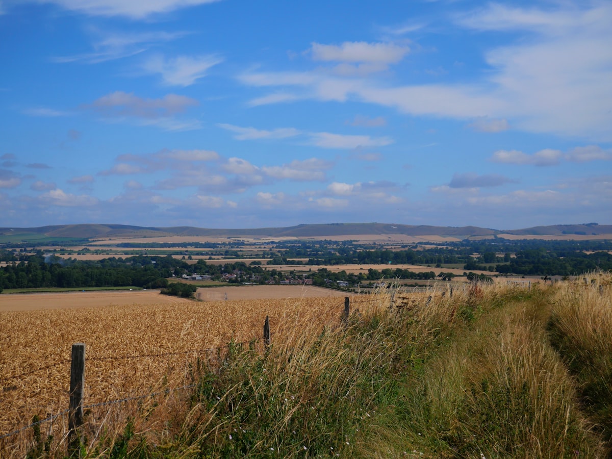 Rolling fields and distant hills of the North Downs near Reigate in Reigate and Banstead, Surrey