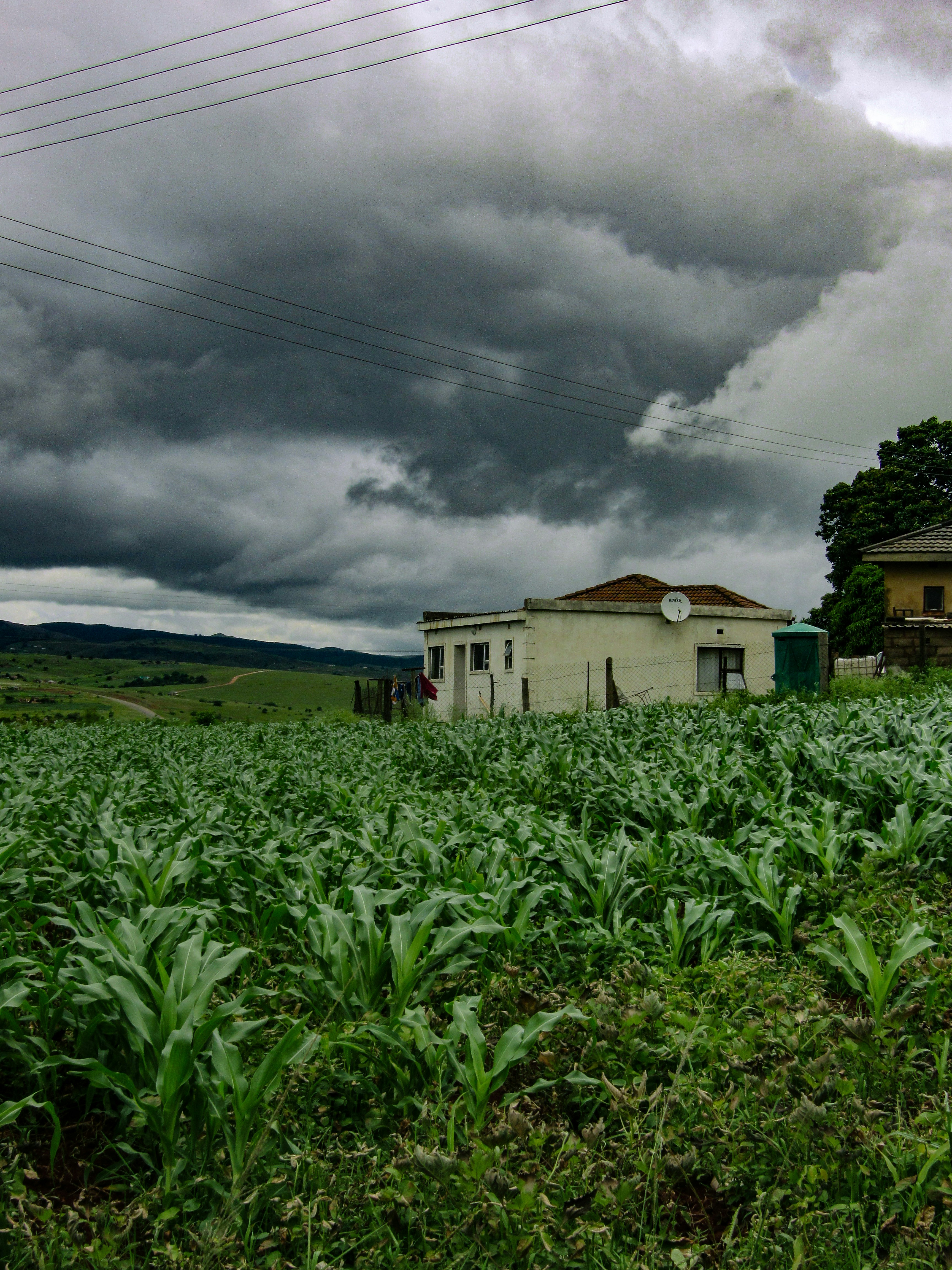 Stormy skies loom over a rural farm.