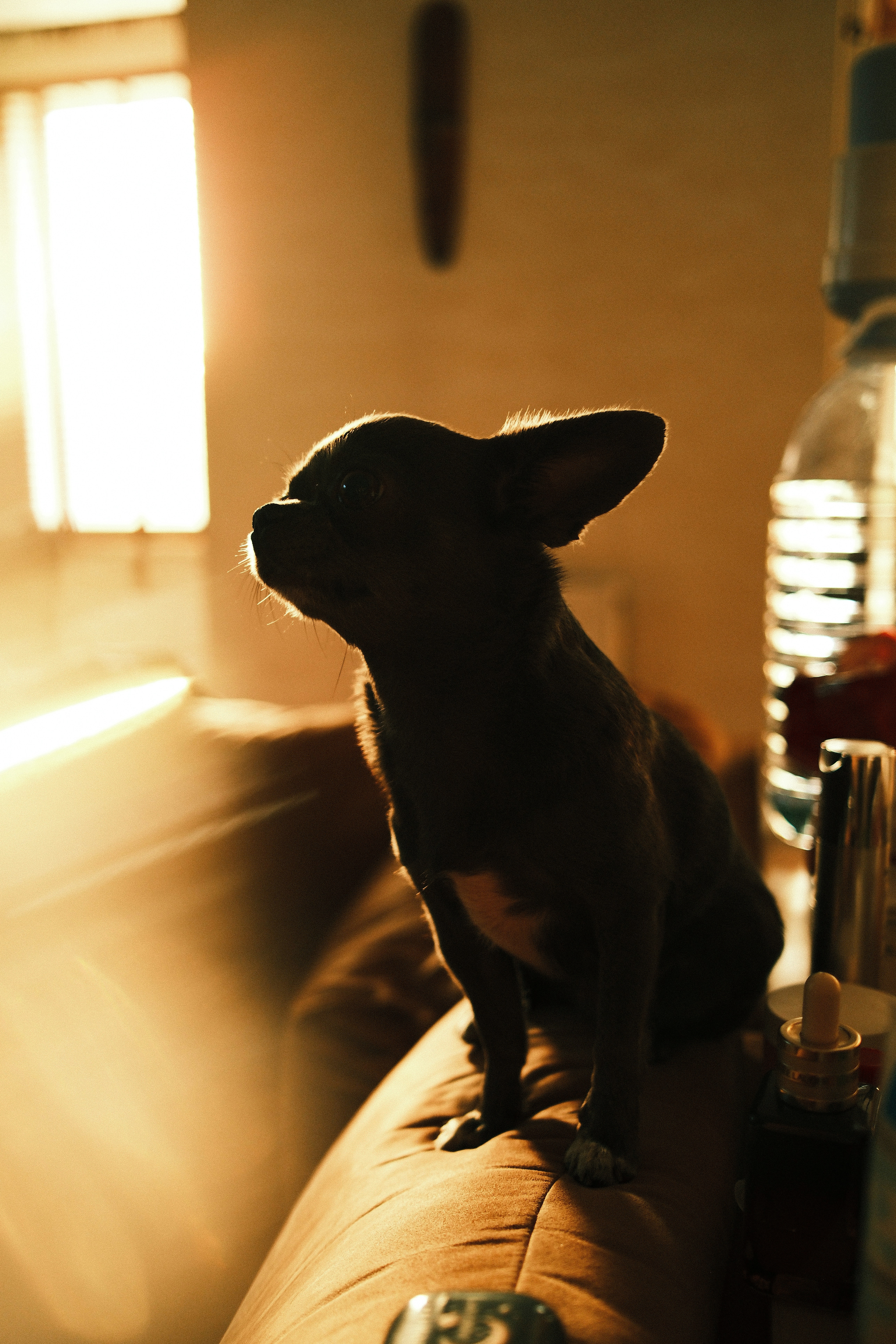 Photo by loaldesign