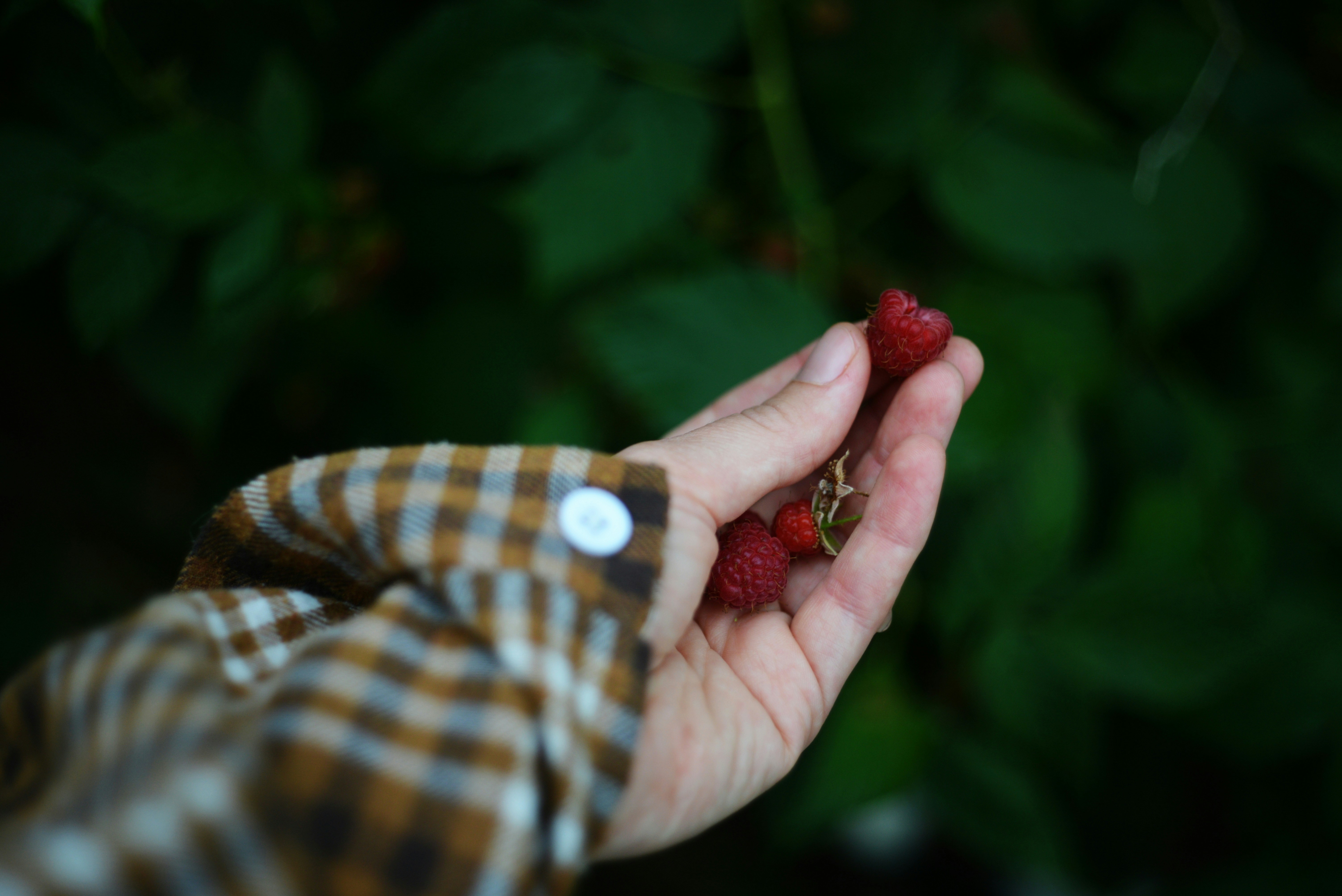 Photo by cherstve_pechivo