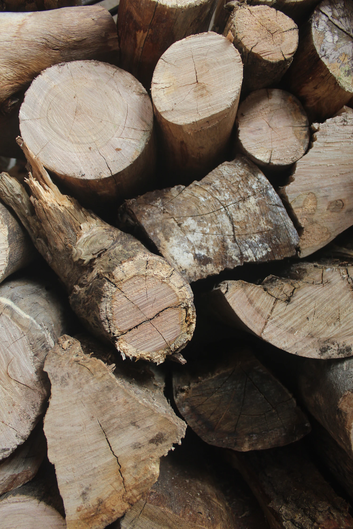 Split rounds of cottonwood stacked for the smokehouse firebox