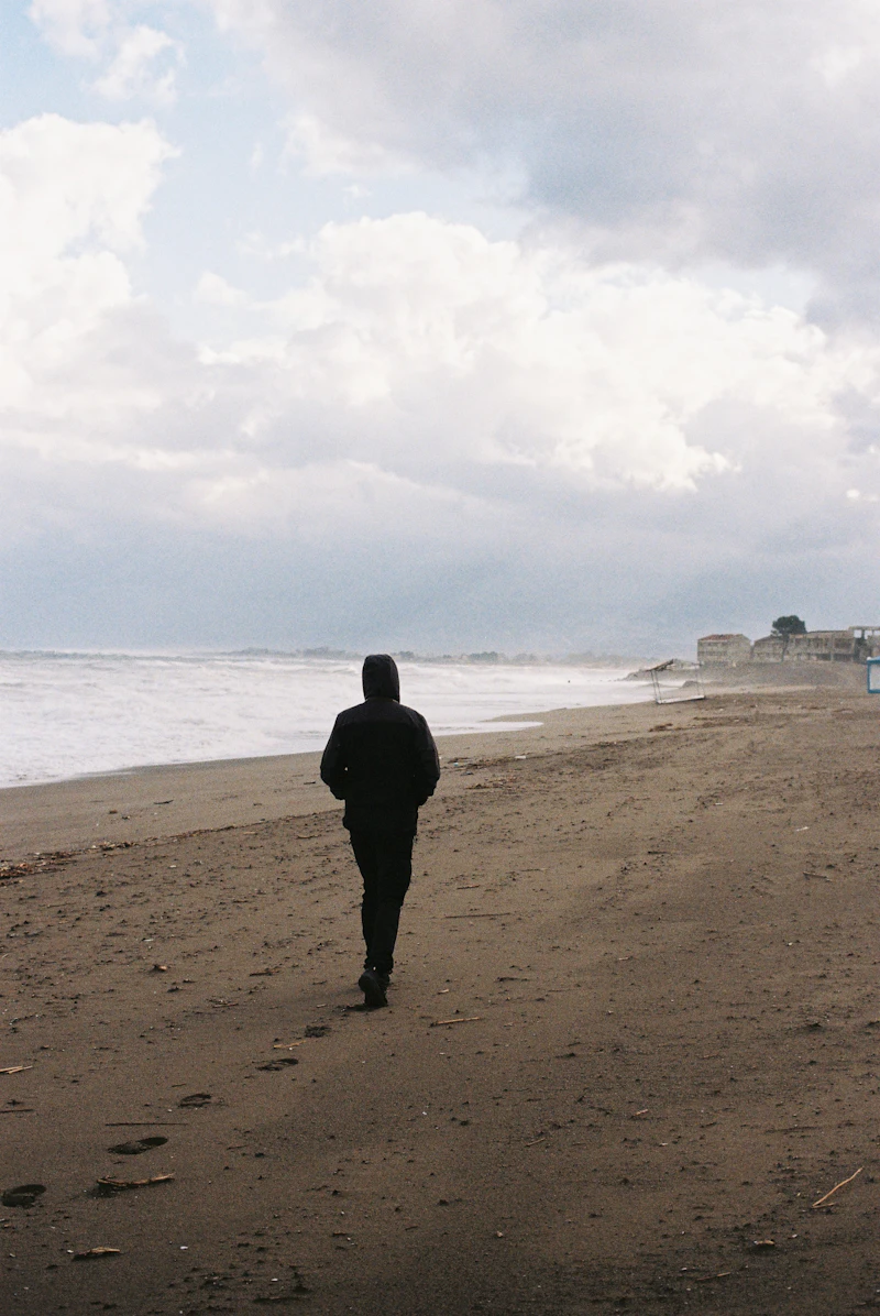 A quiet path along the shore