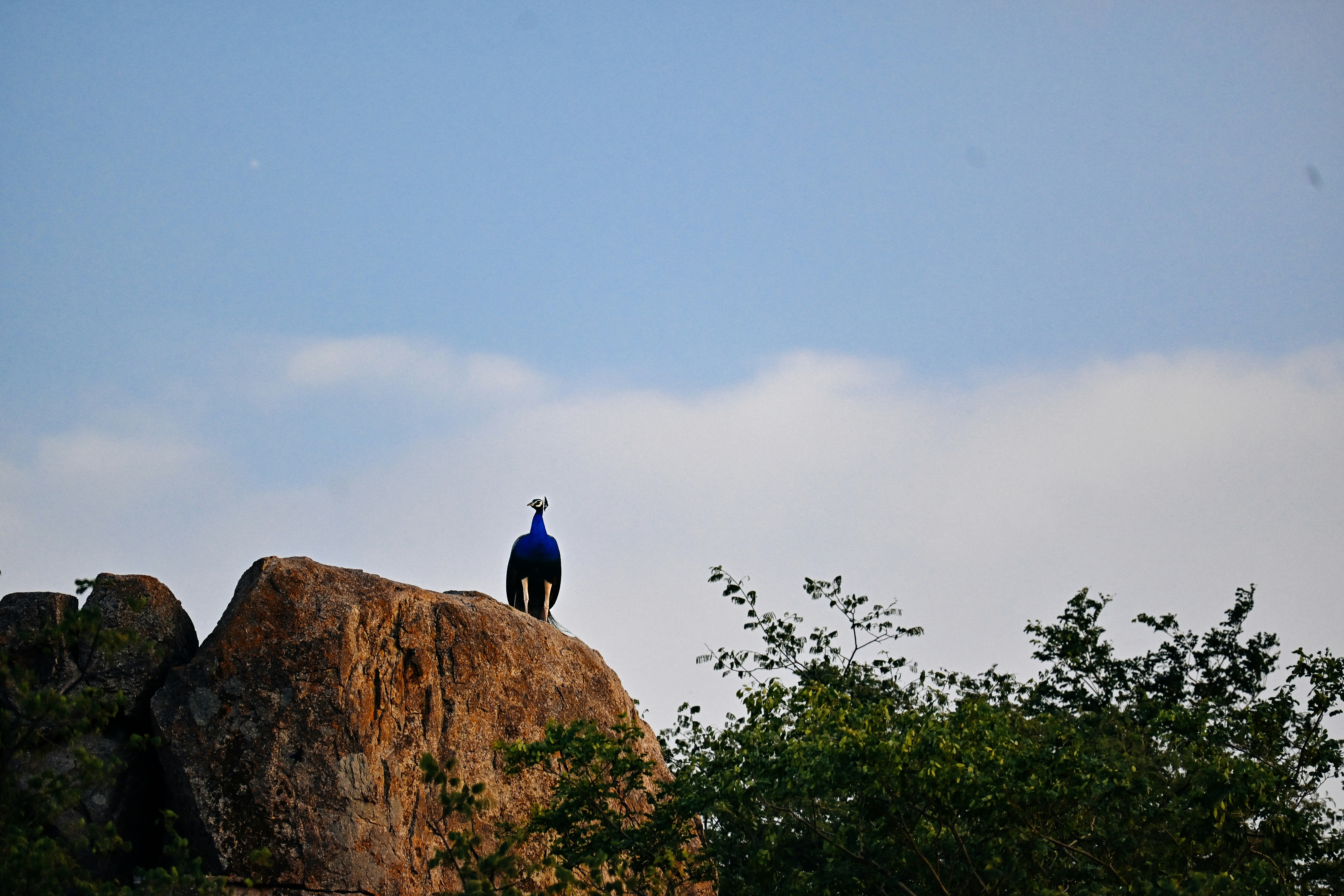 Photo by vishalcross36