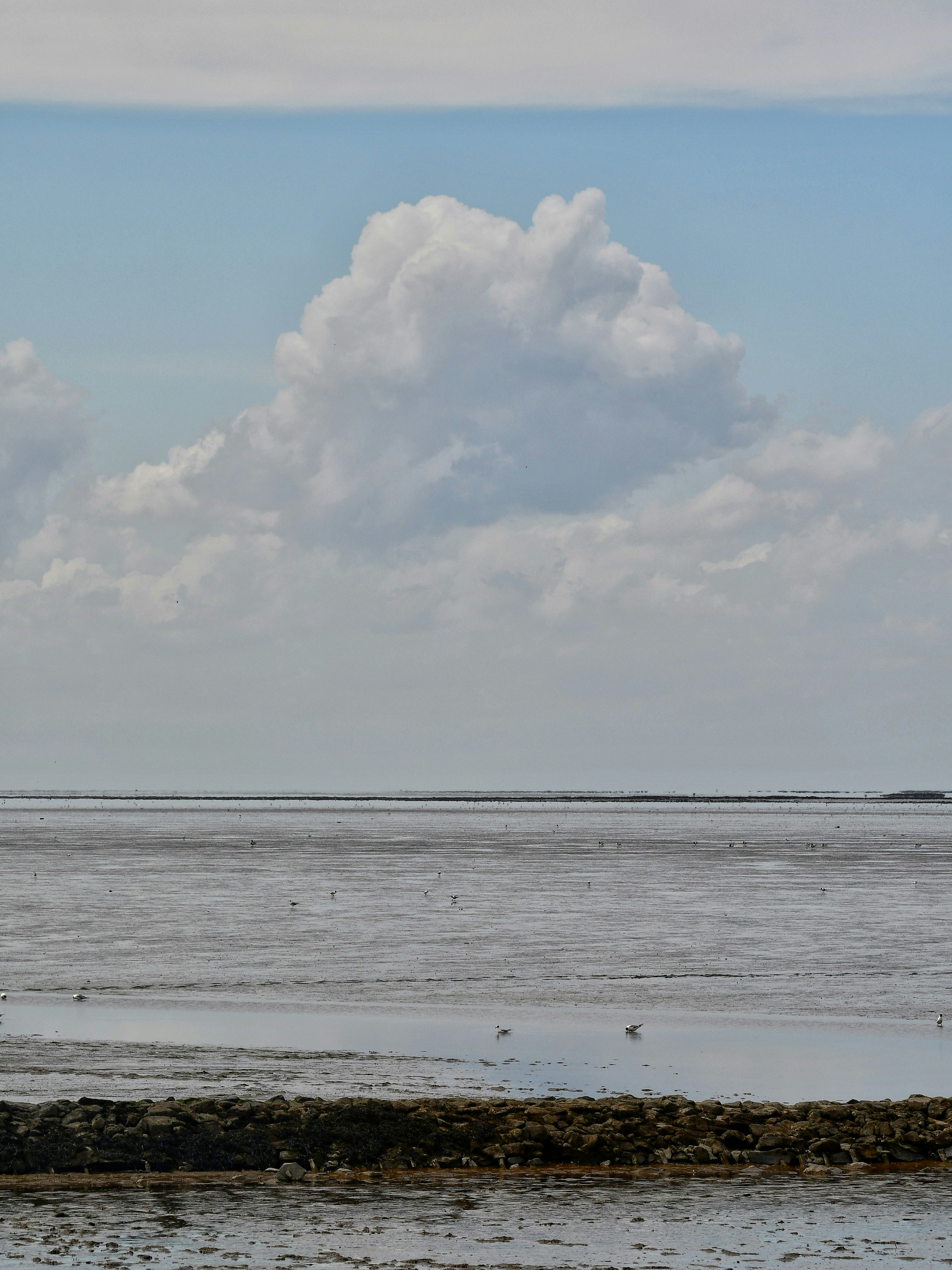 Photo by pedrino5_official