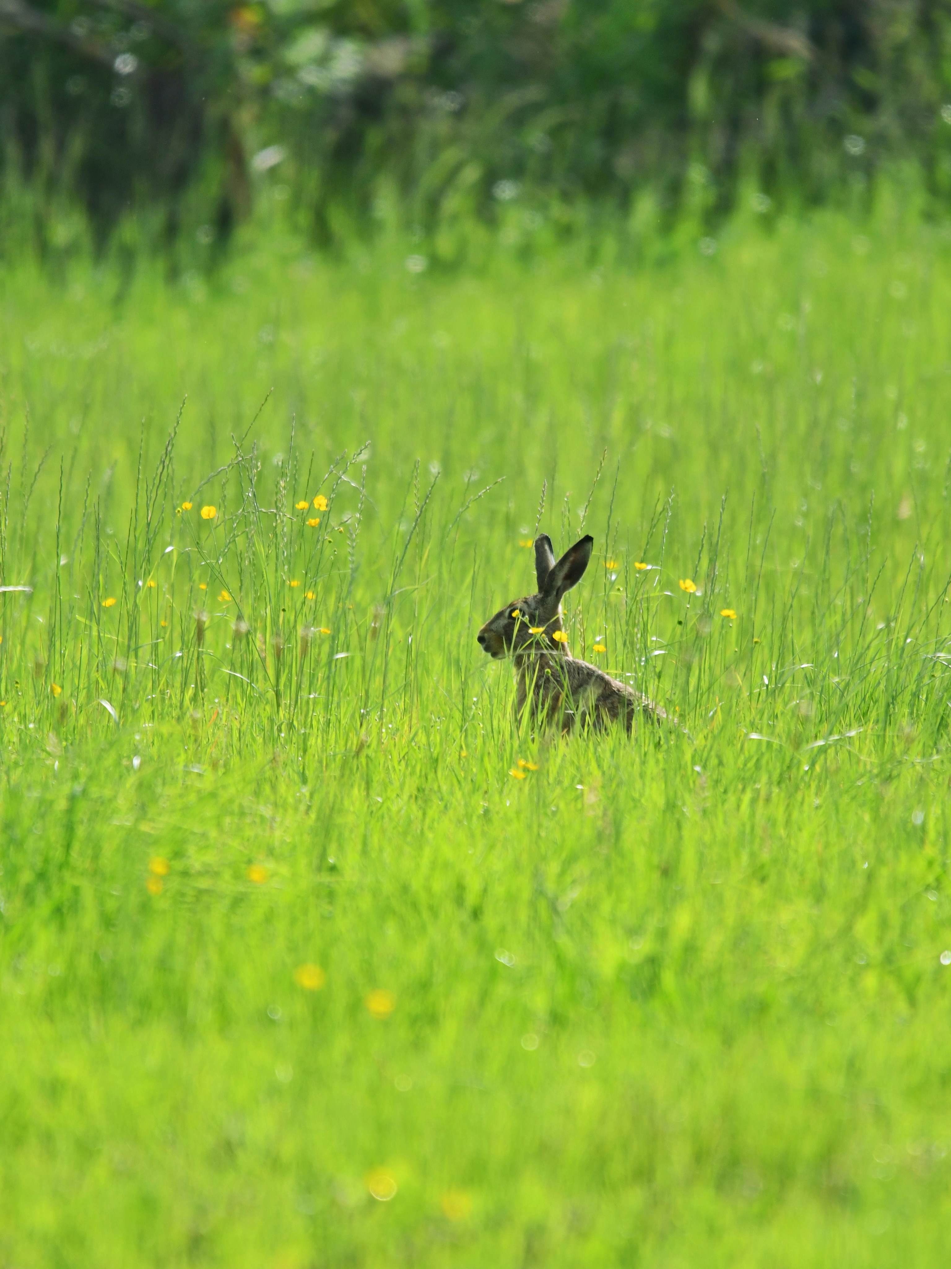 Photo by pedrino5_official