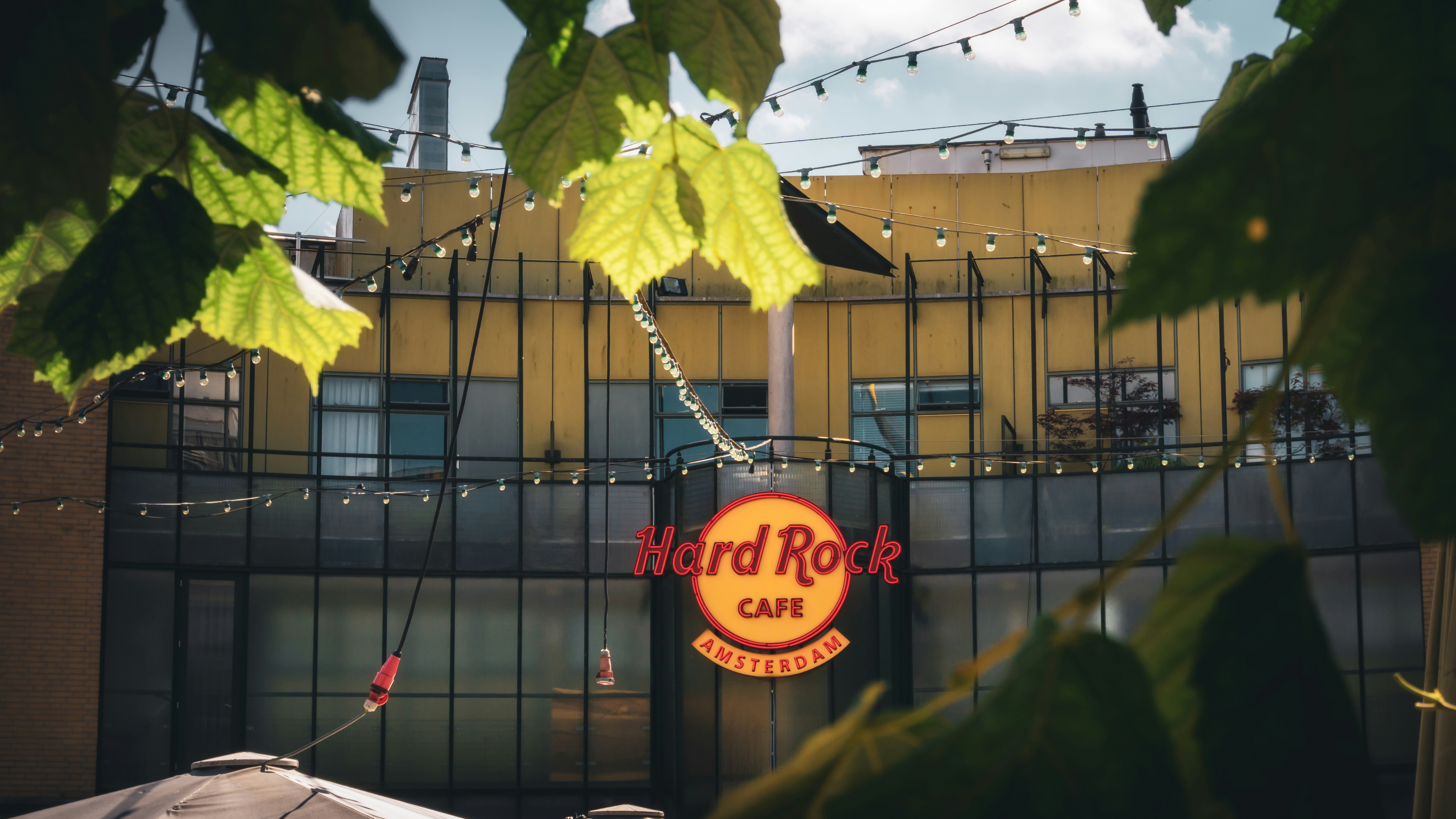 Rock City Cafe