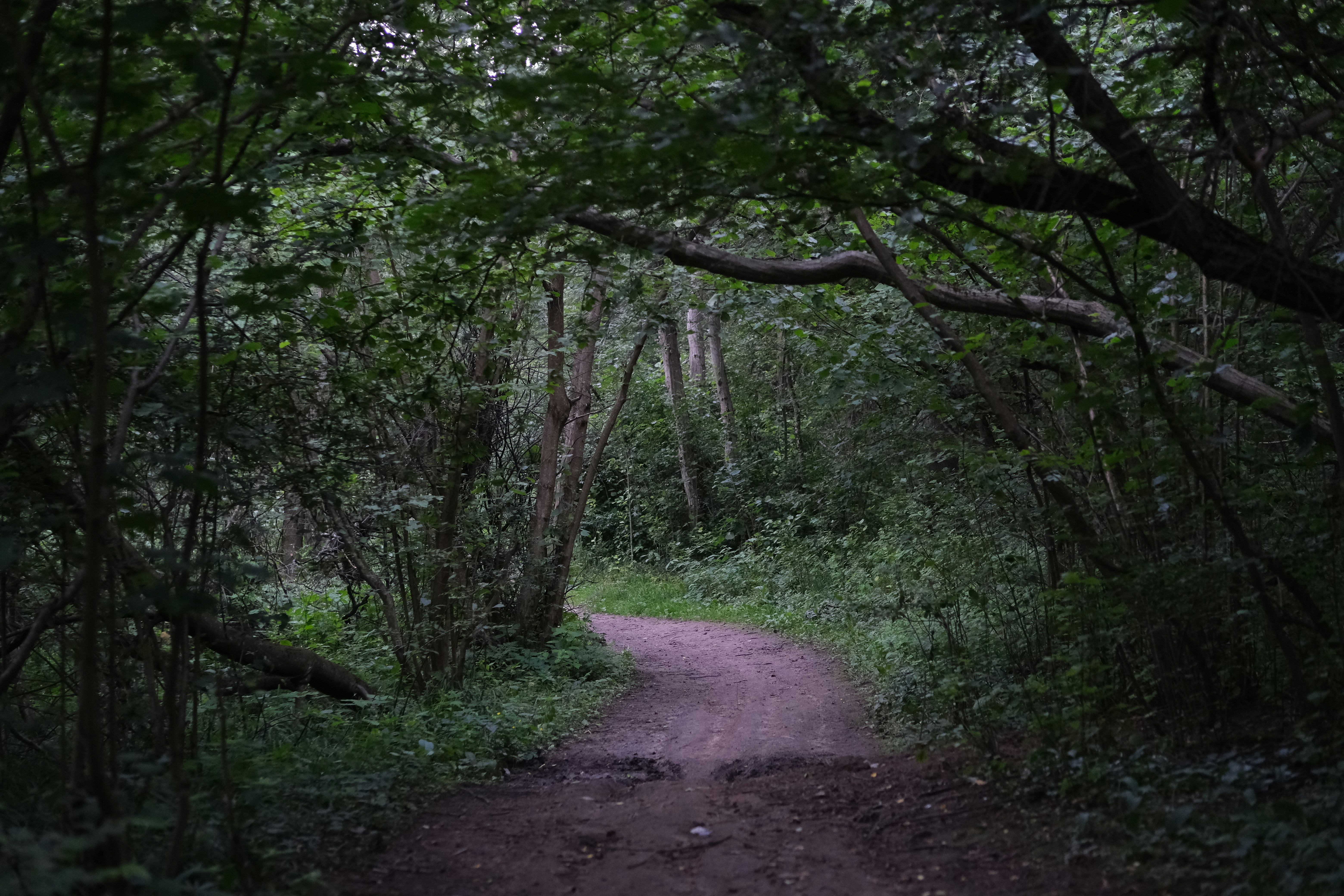 Photo by rolig_basseng