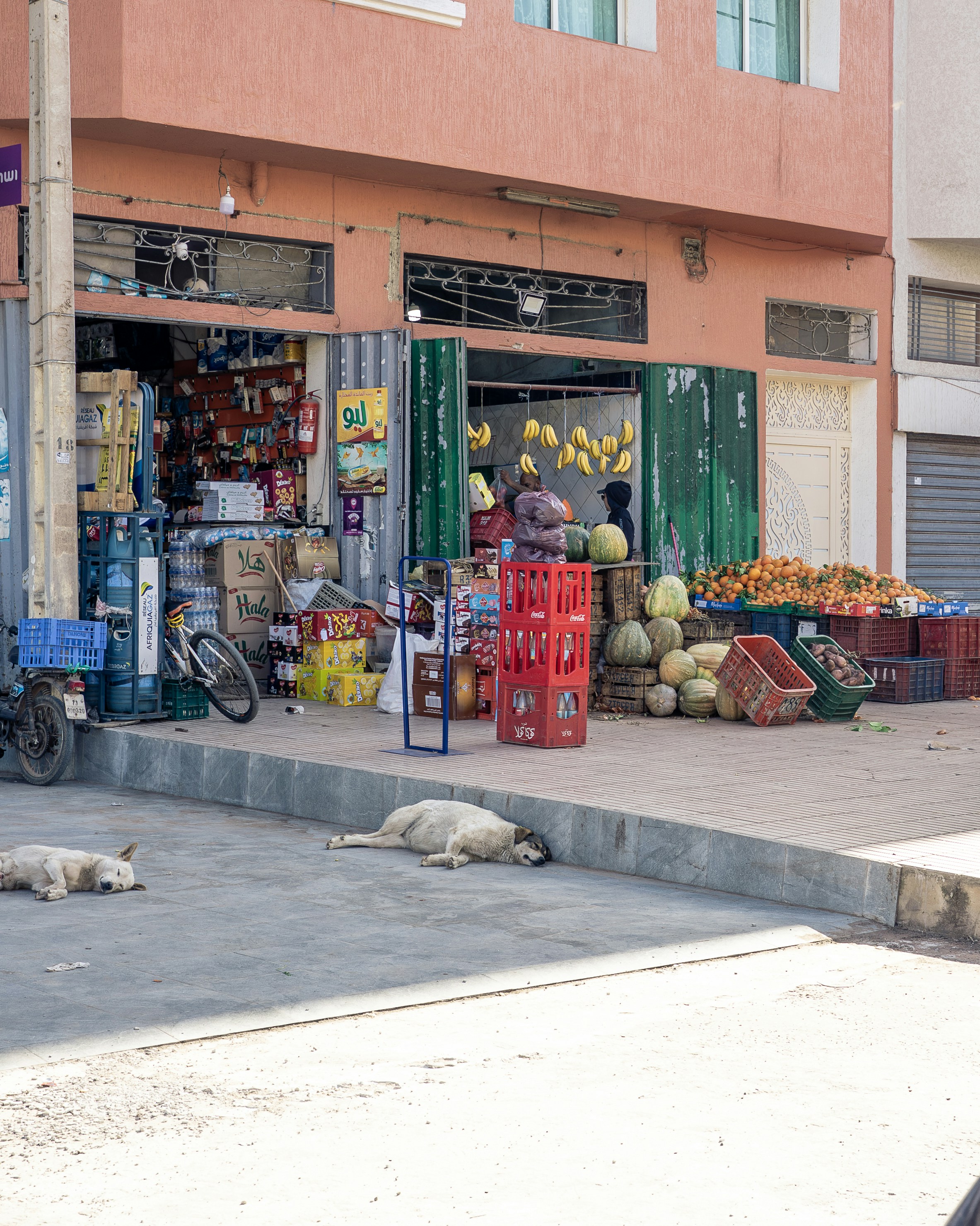 Casablanca – Day Trips & Surroundings