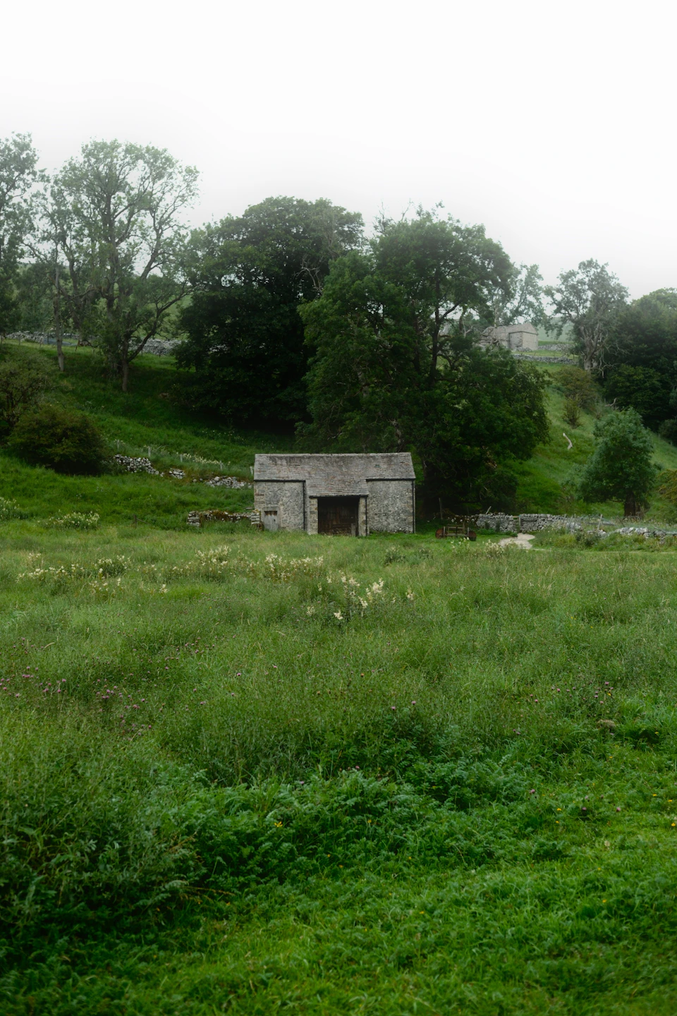 Serene rural landscape with small stone shed nestled among lush green grass and trees