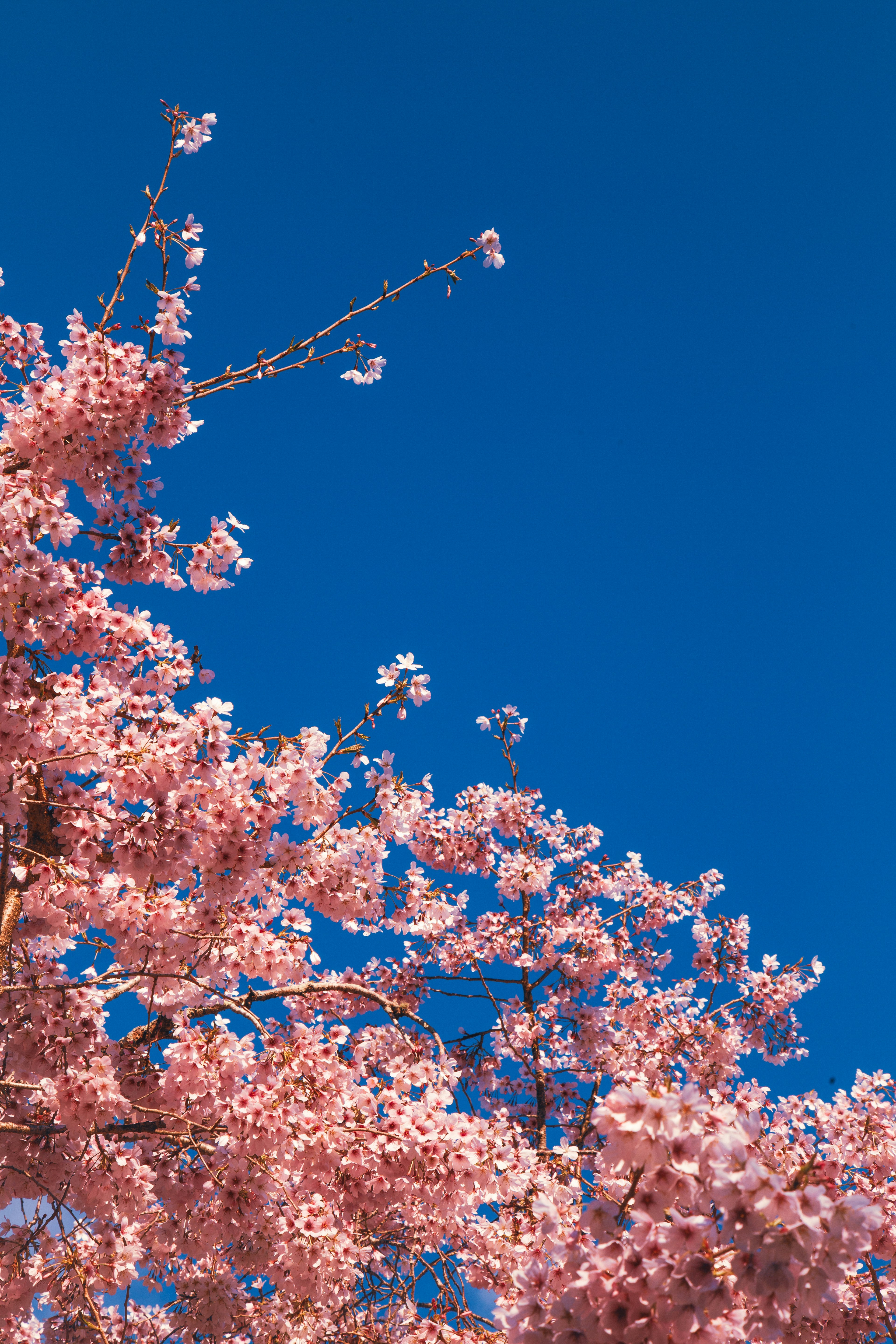 Photo by georgiaangelaa