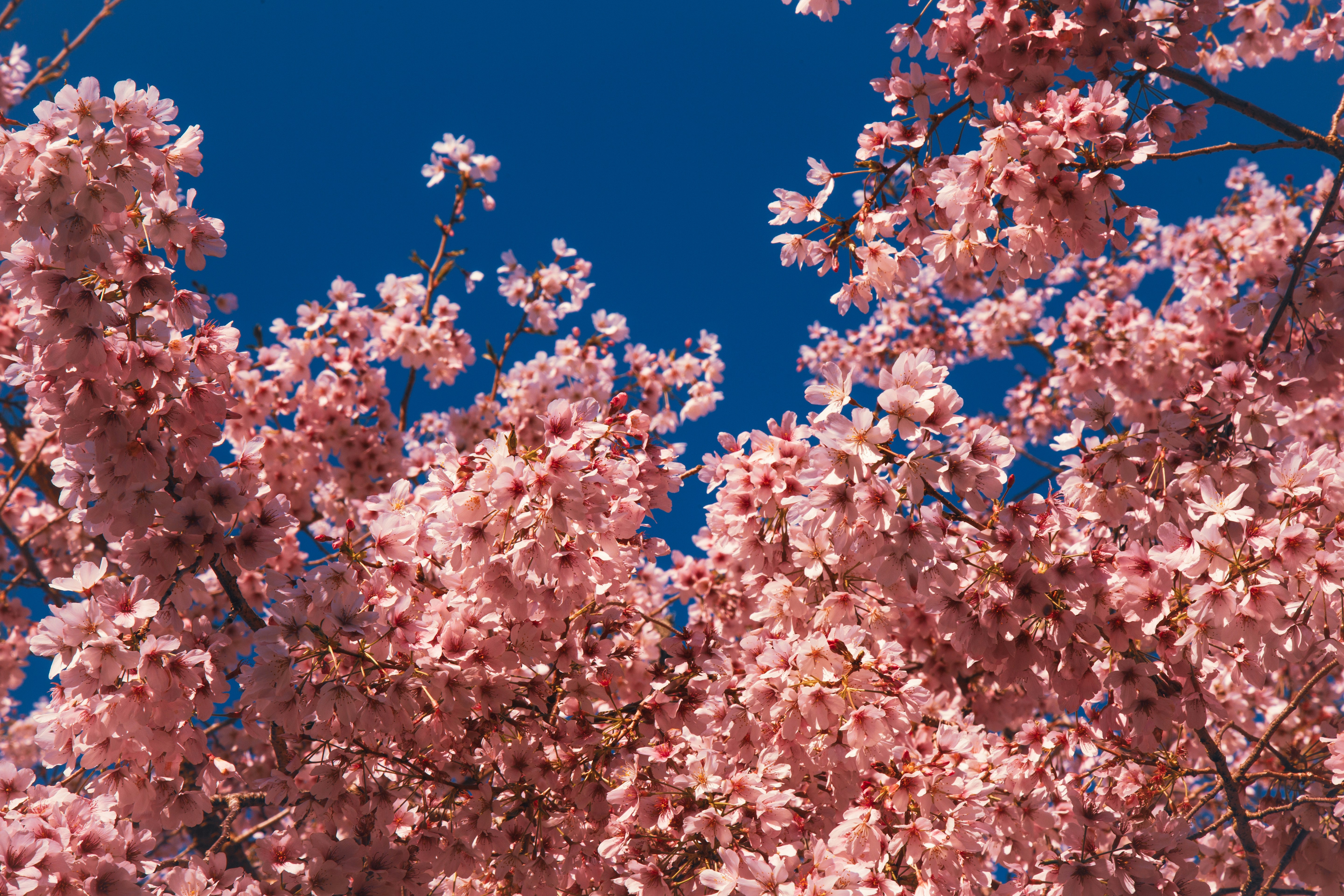 Photo by georgiaangelaa