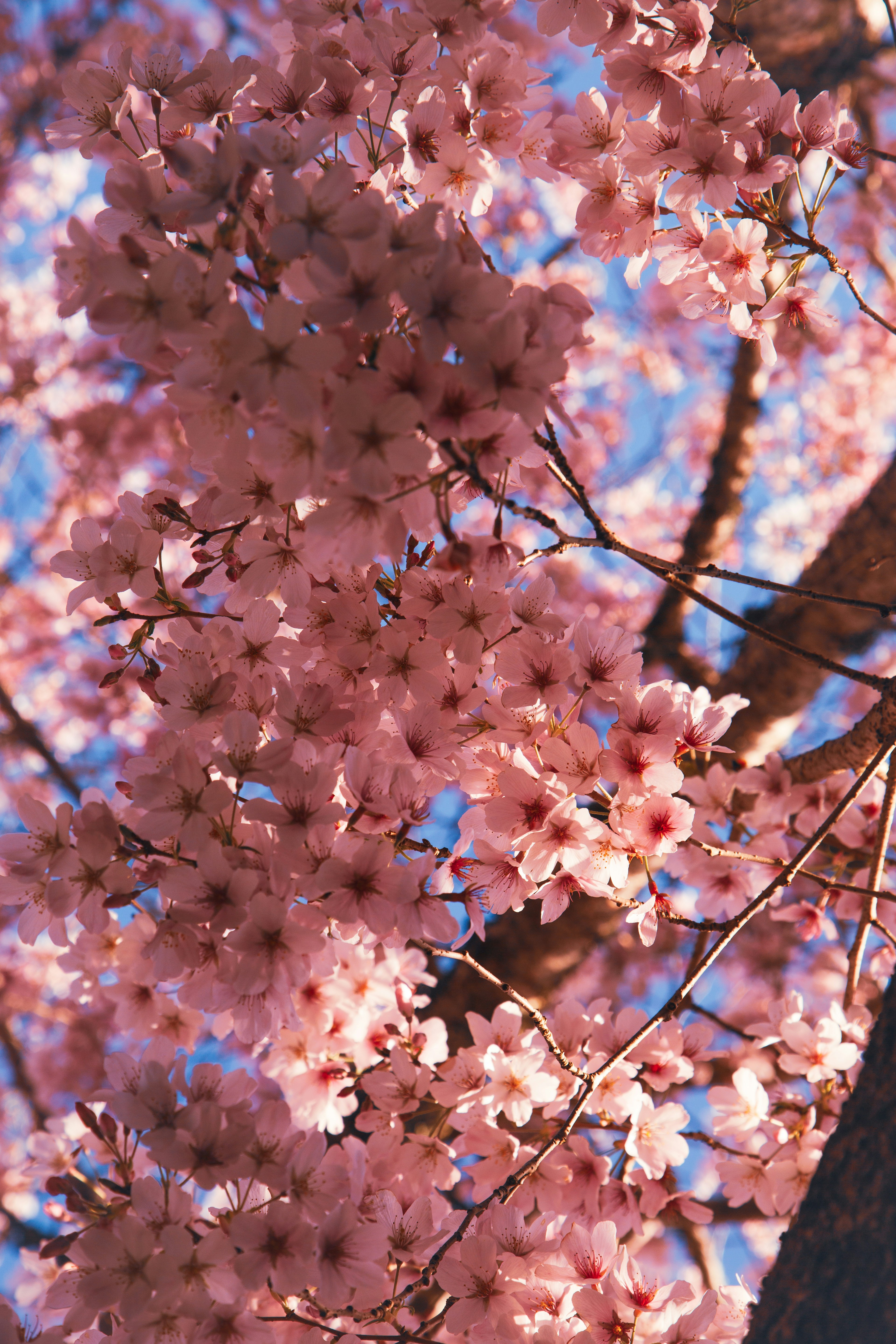 Photo by georgiaangelaa