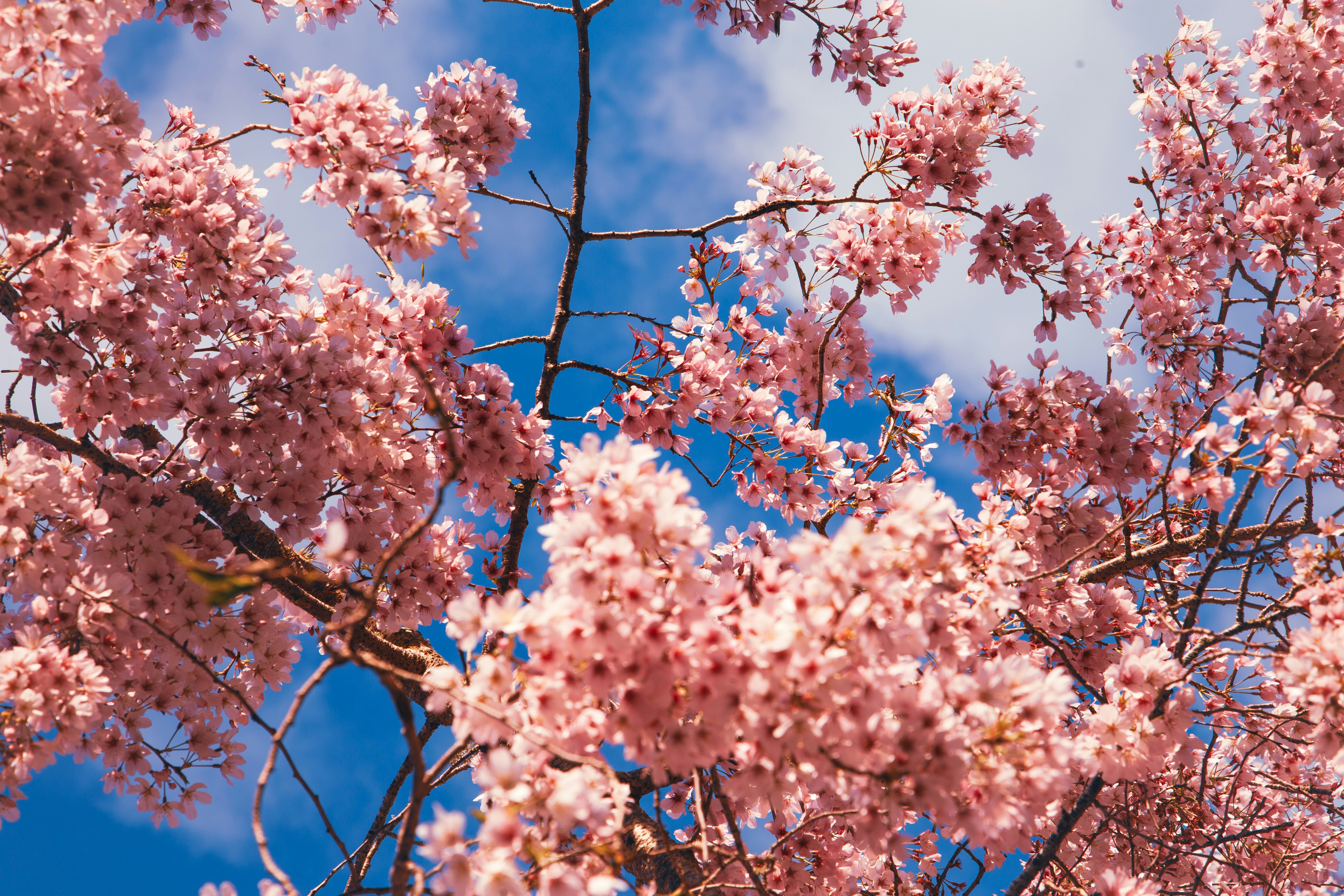 Photo by georgiaangelaa