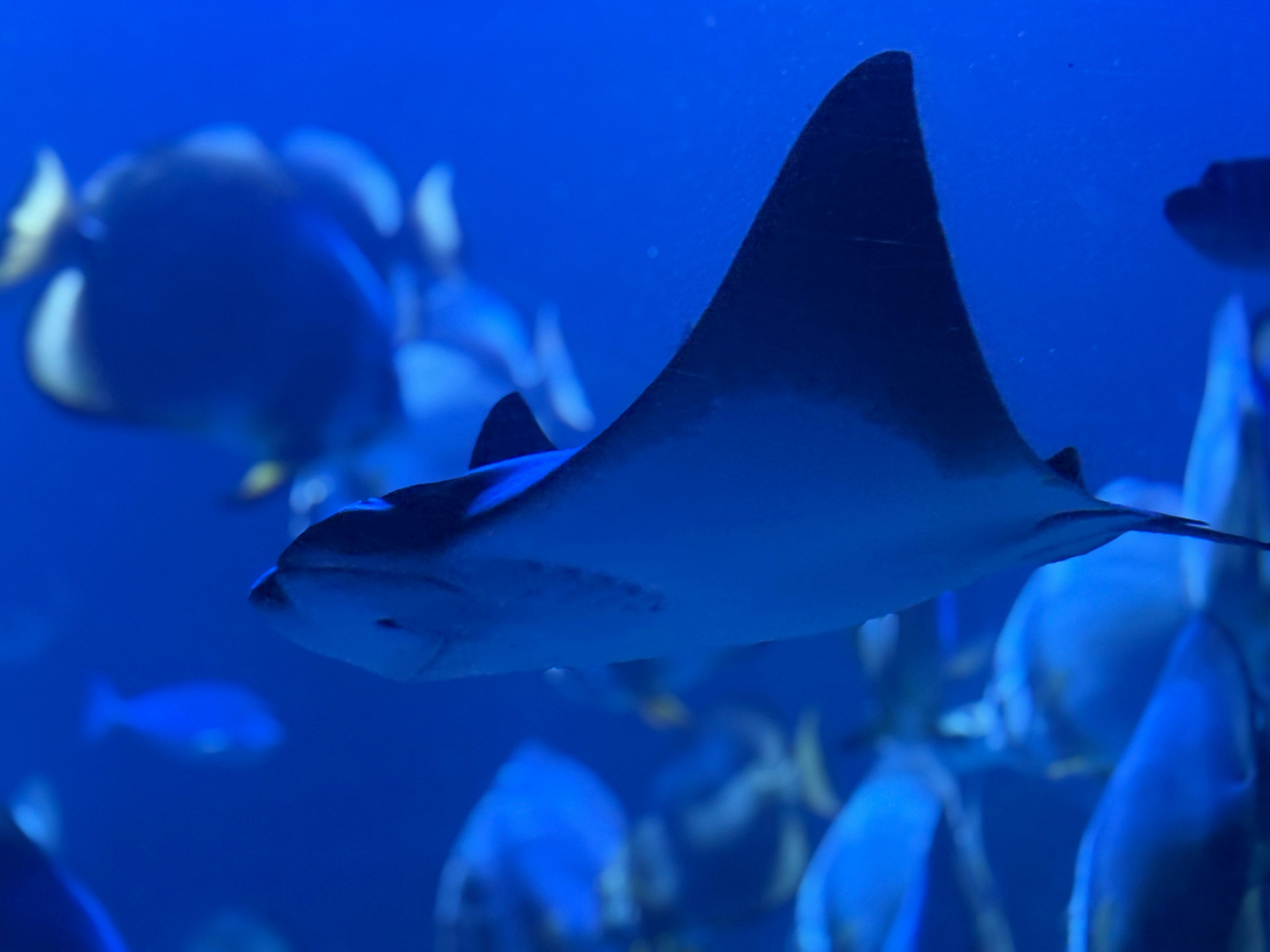 Photo by ifoundmybear