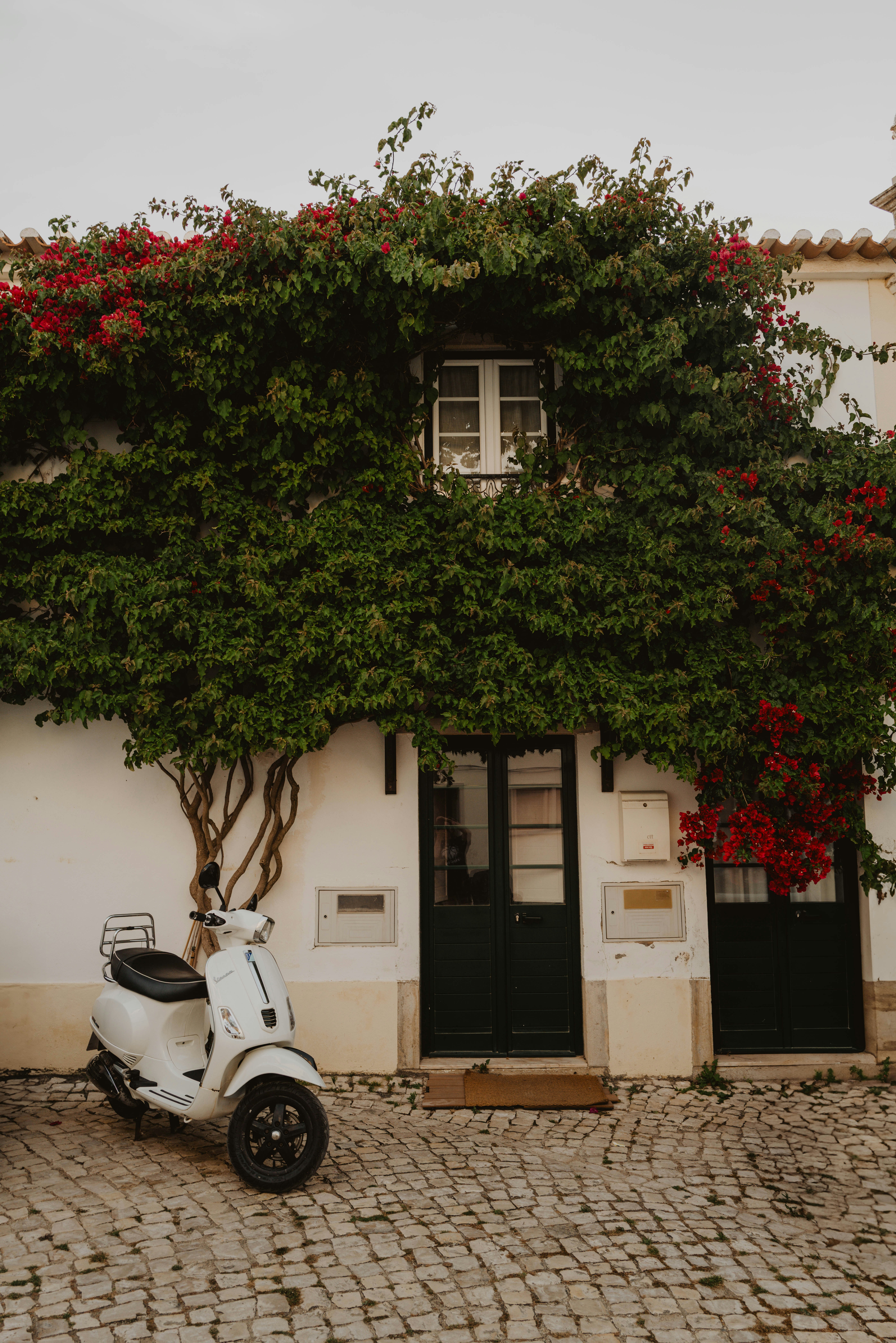 Photo by sarahmarkstaller