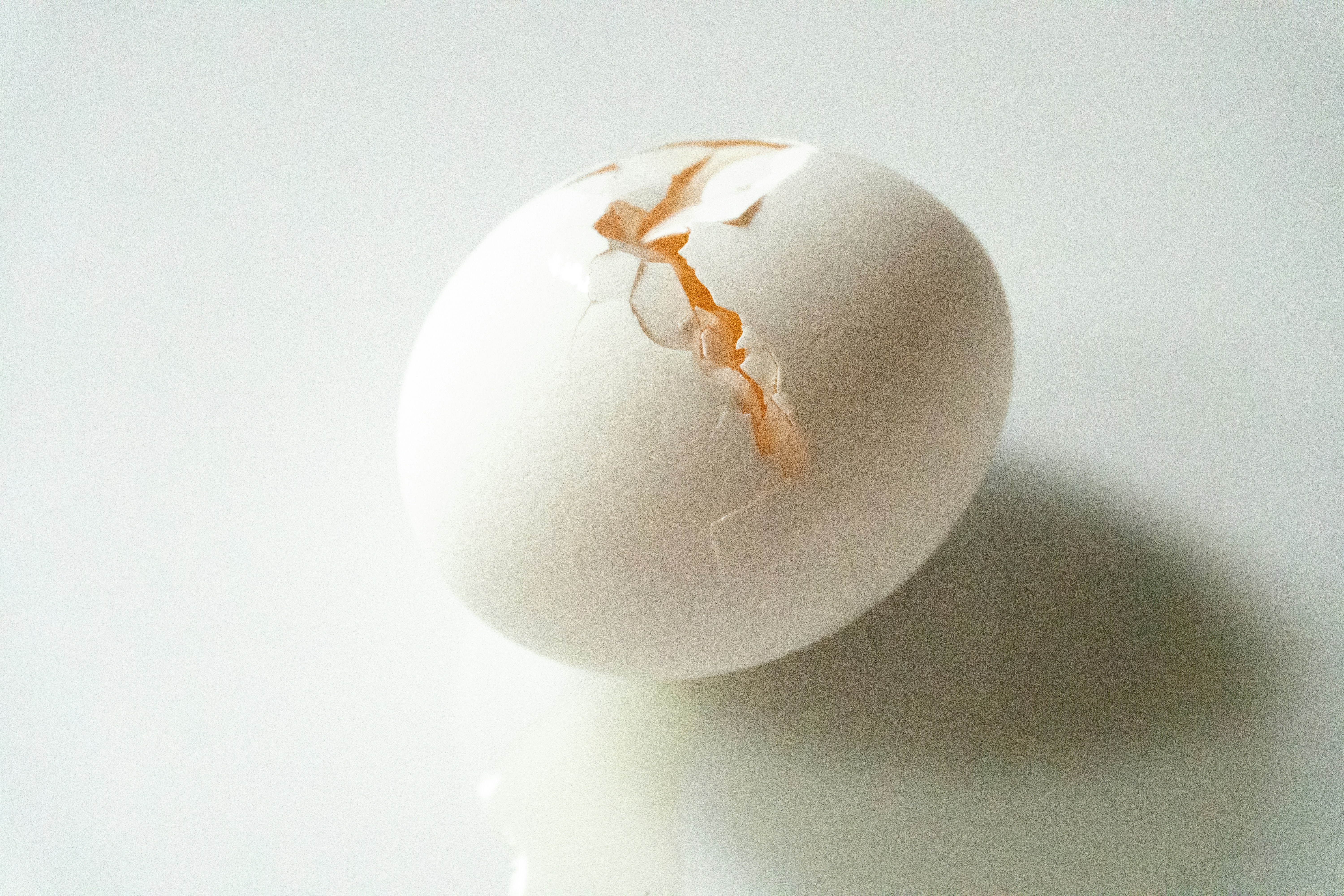 Photo by jihanebishop_art