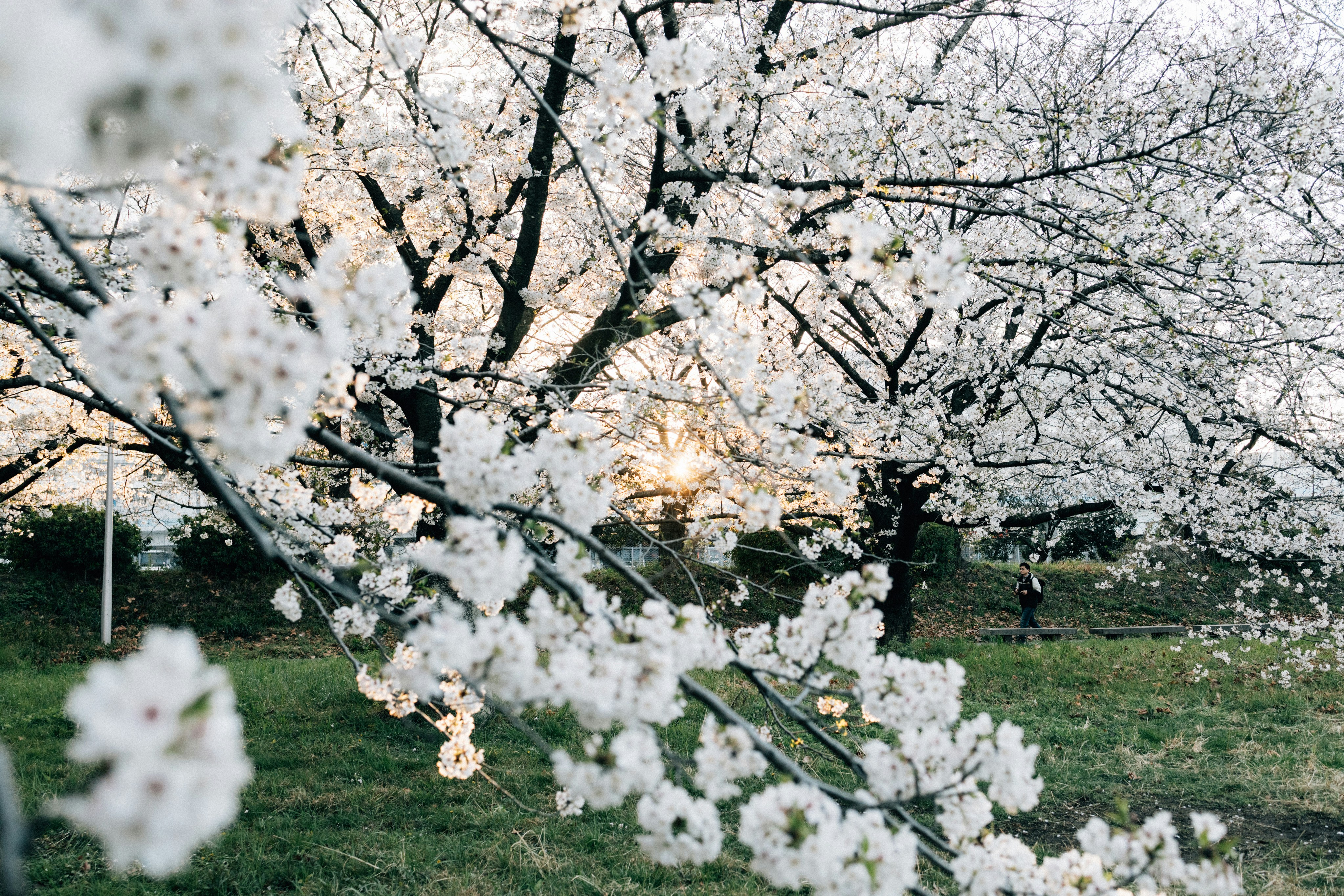 Photo by tsuyoshikozu