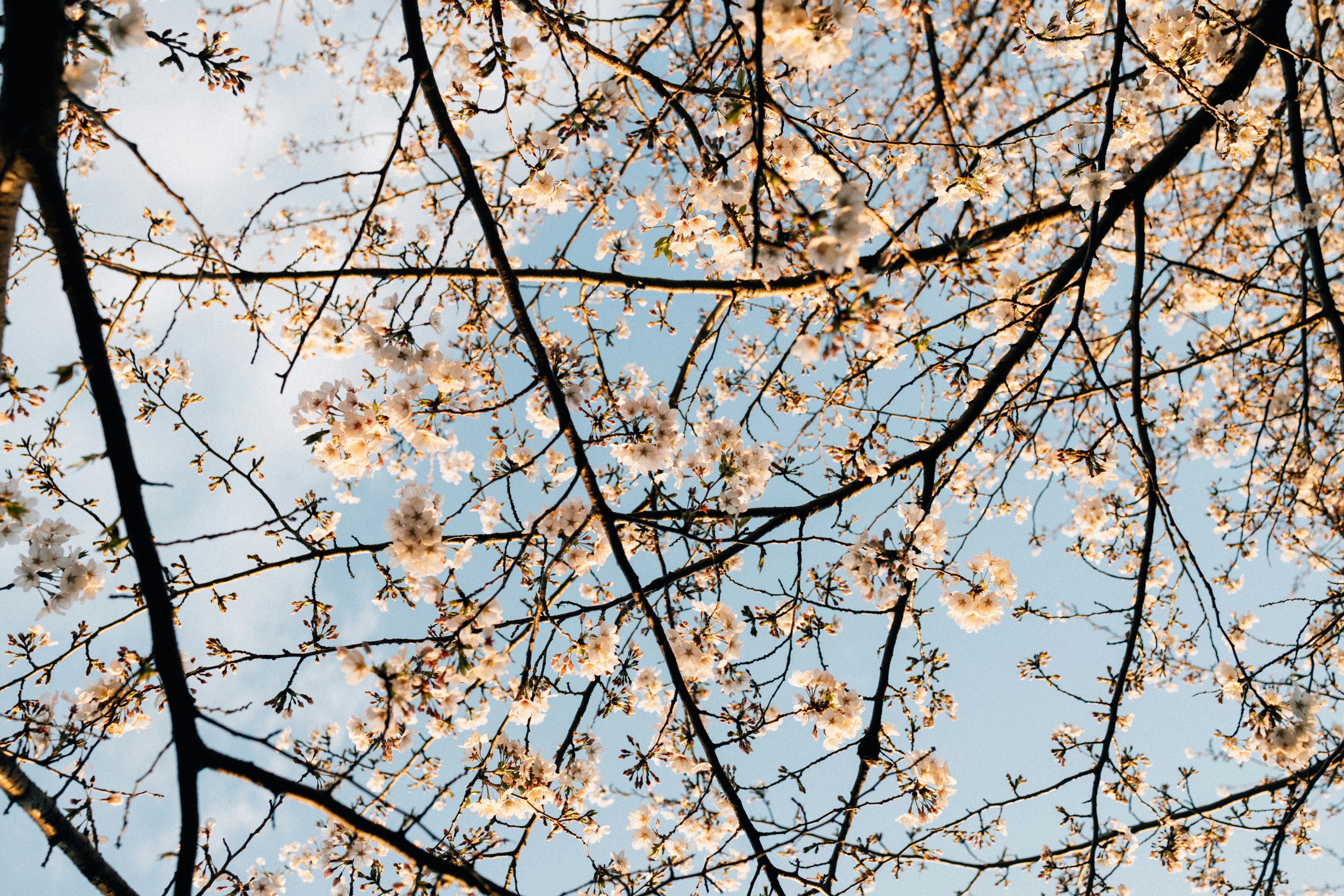 Photo by tsuyoshikozu