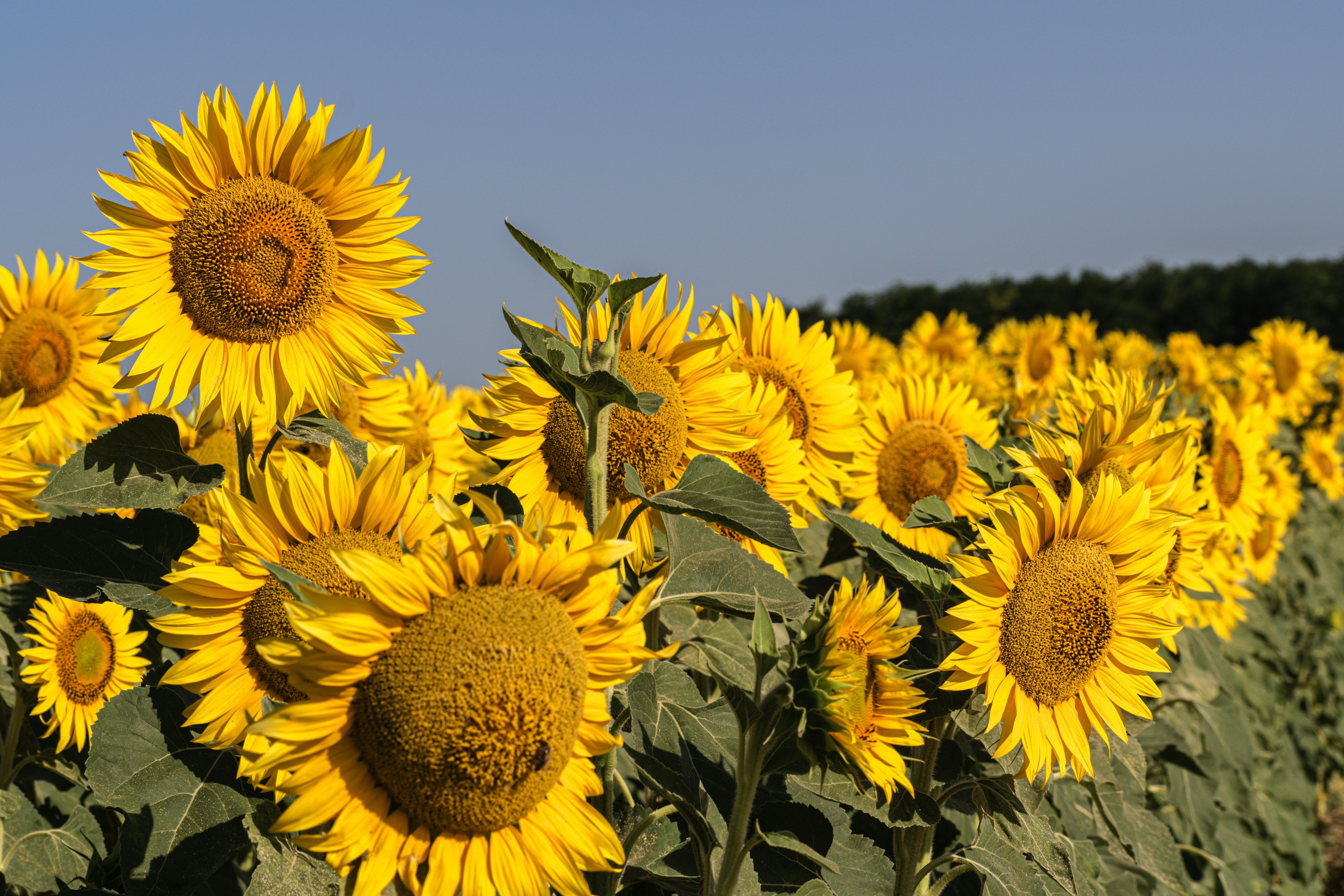 Photo by niki_emmert