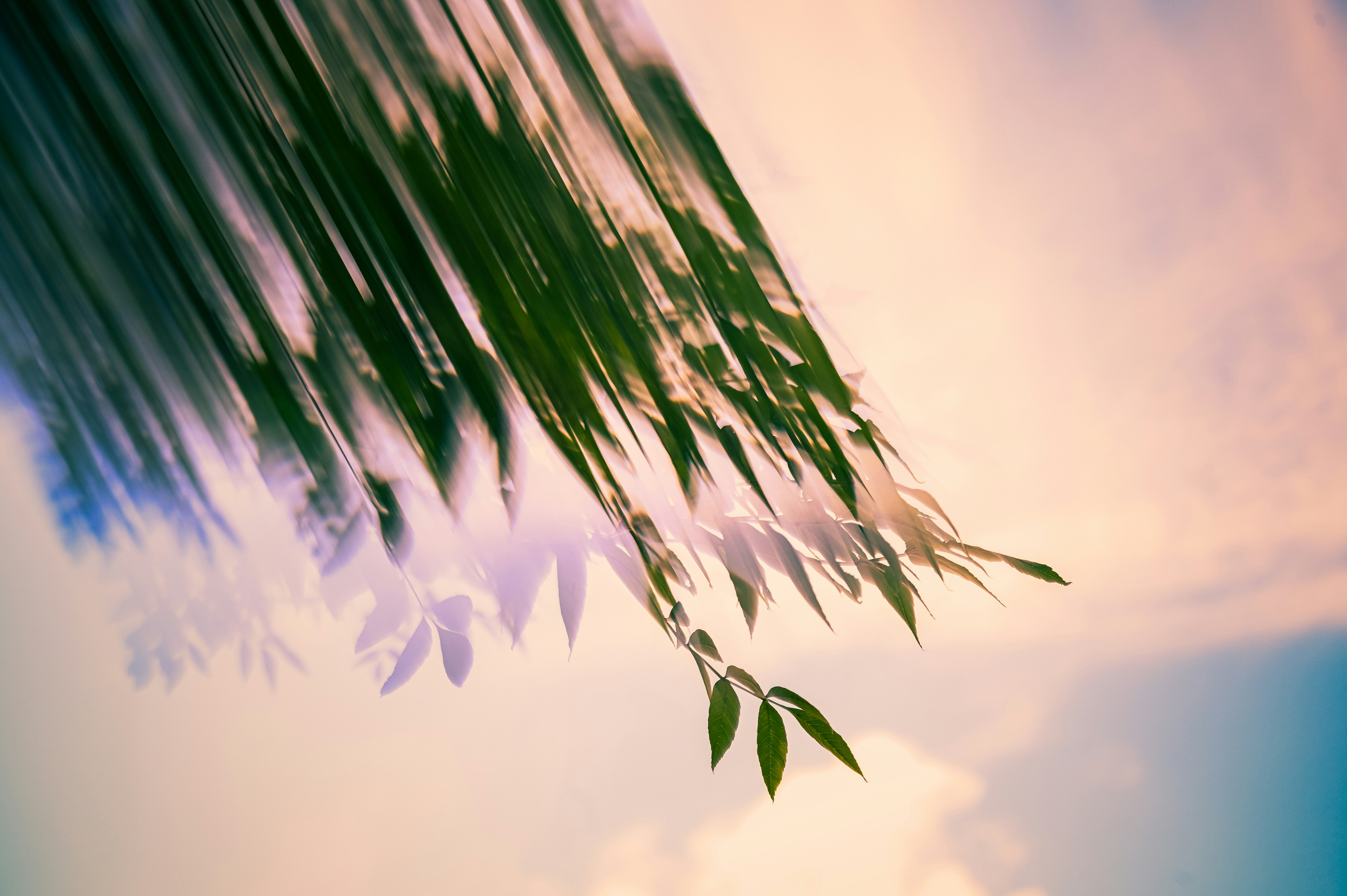 The Value Of Examining The Bible: Producing A Closer Connection With God