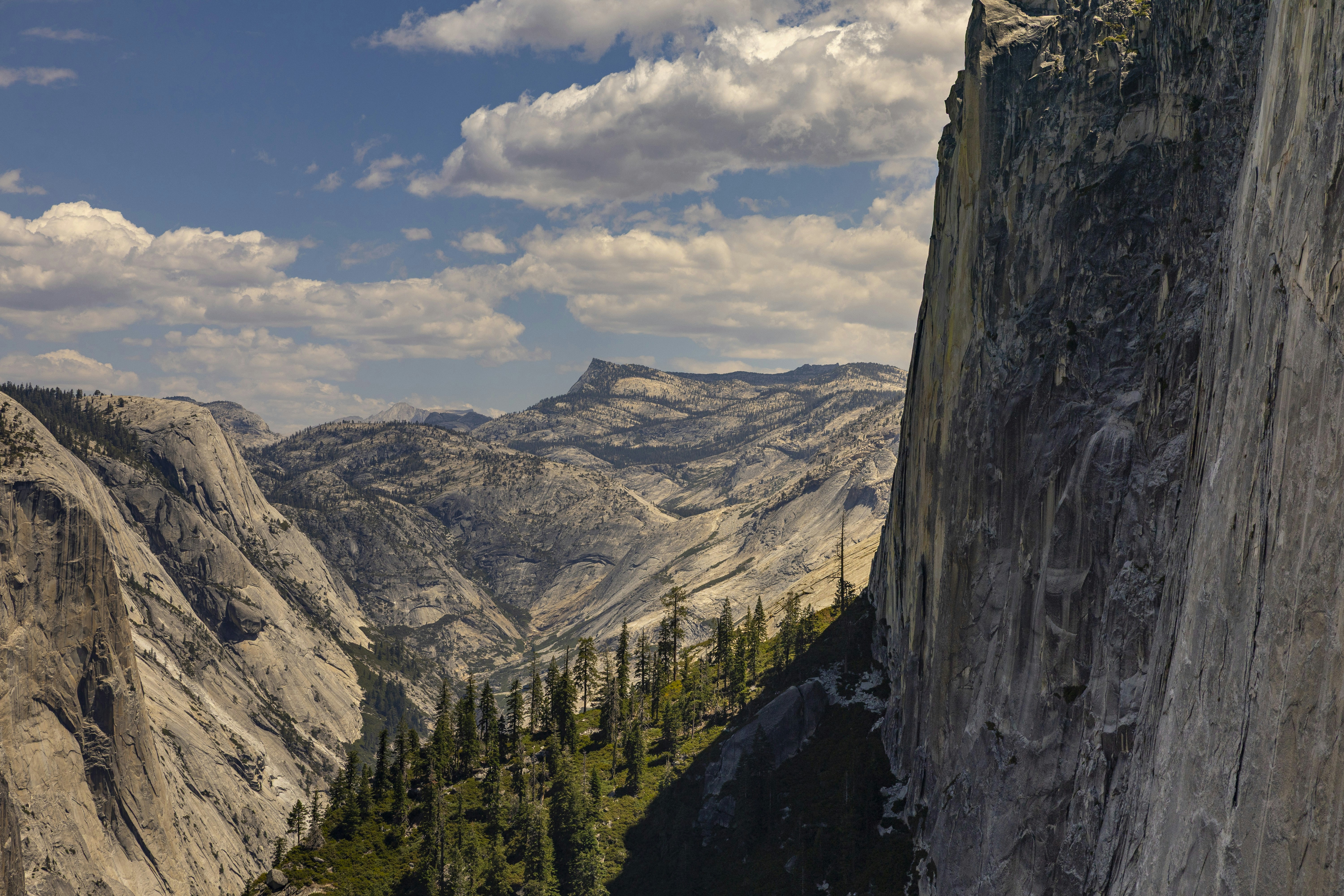 Photo by leo_visions_