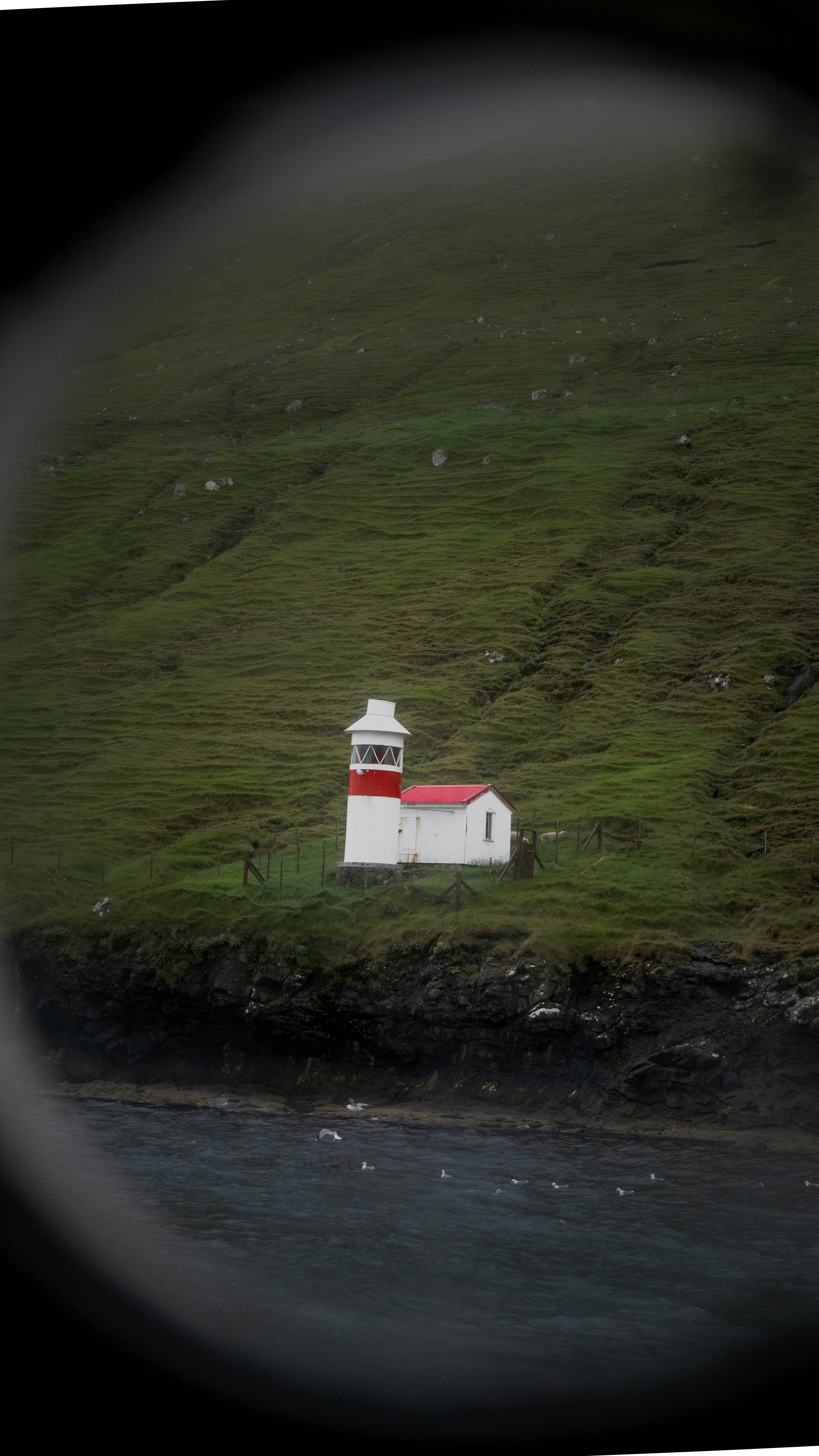A white and red lighthouse on a lush green hill.